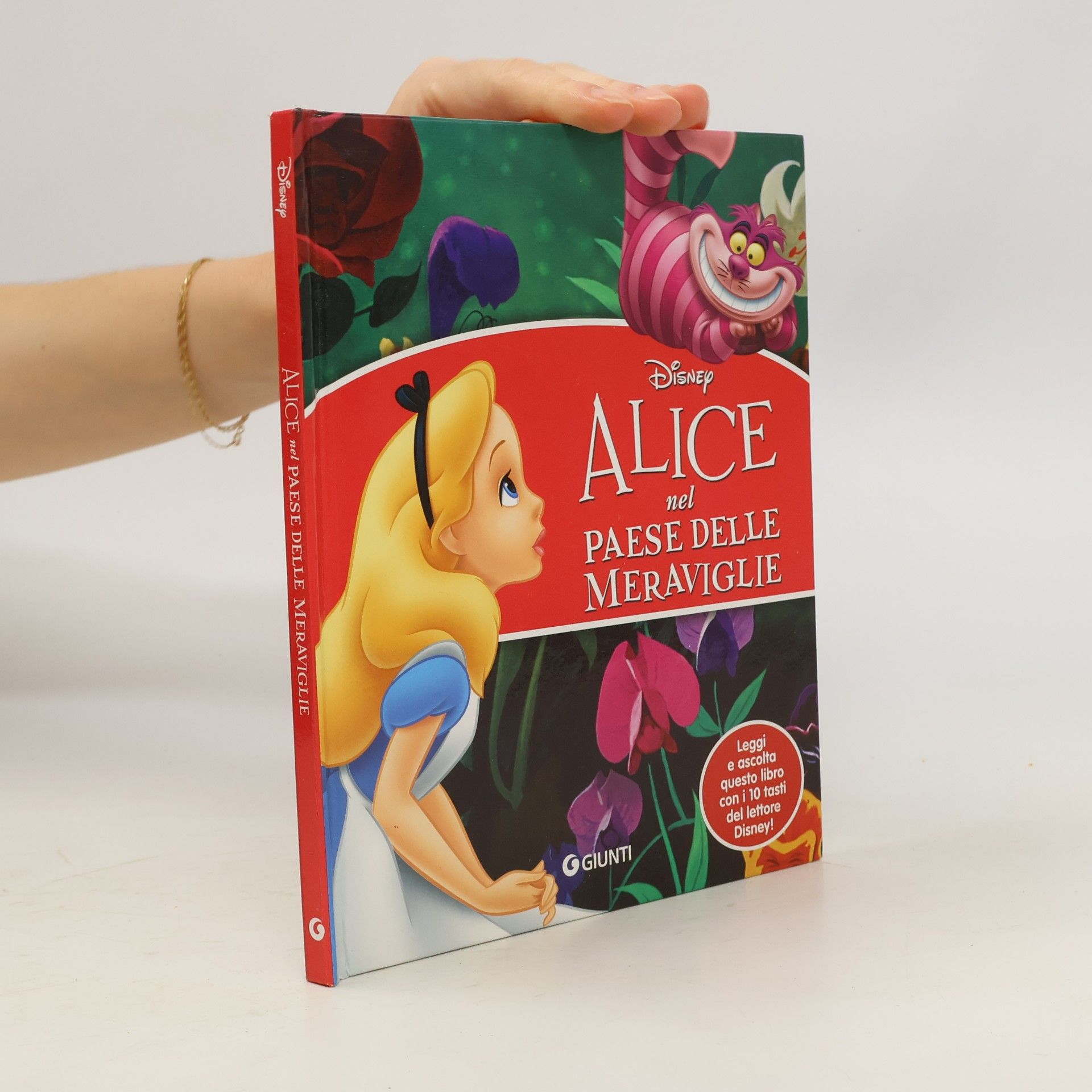 Renata Rigoni ALICE nel PAESE DELLE MERAVIGLIE