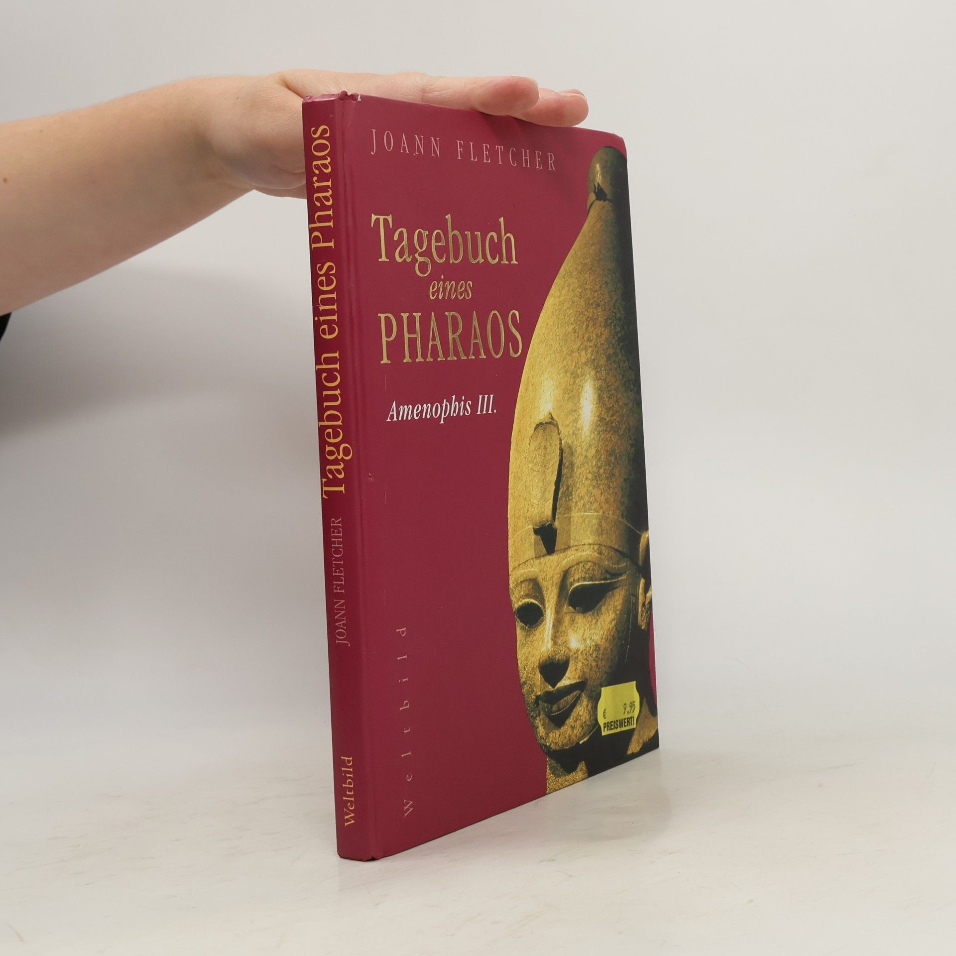 Joann Fletcher Tagebuch eines Pharaos: Amenophis III.