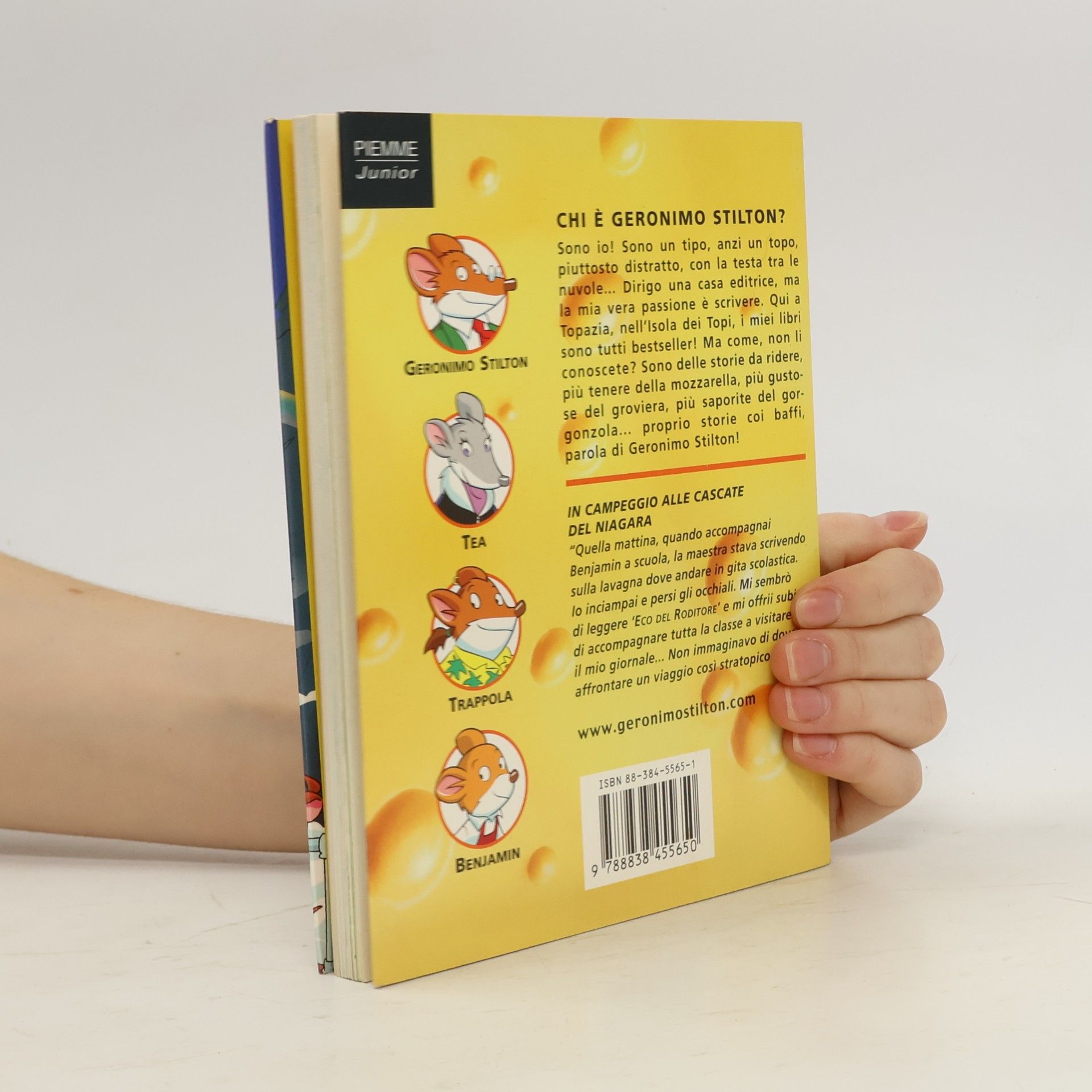 Geronimo Stilton Storie da ridere - 36: In campeggio alle cascate del Niagara