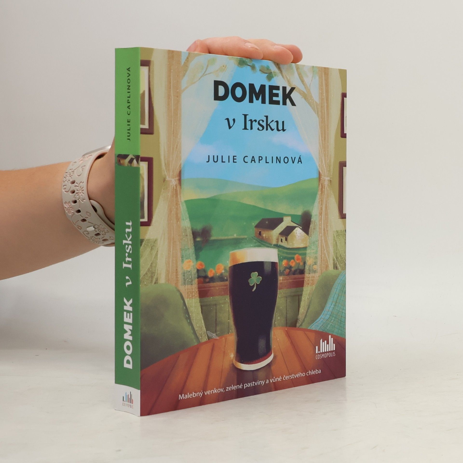 Julie Caplin Domek v Irsku