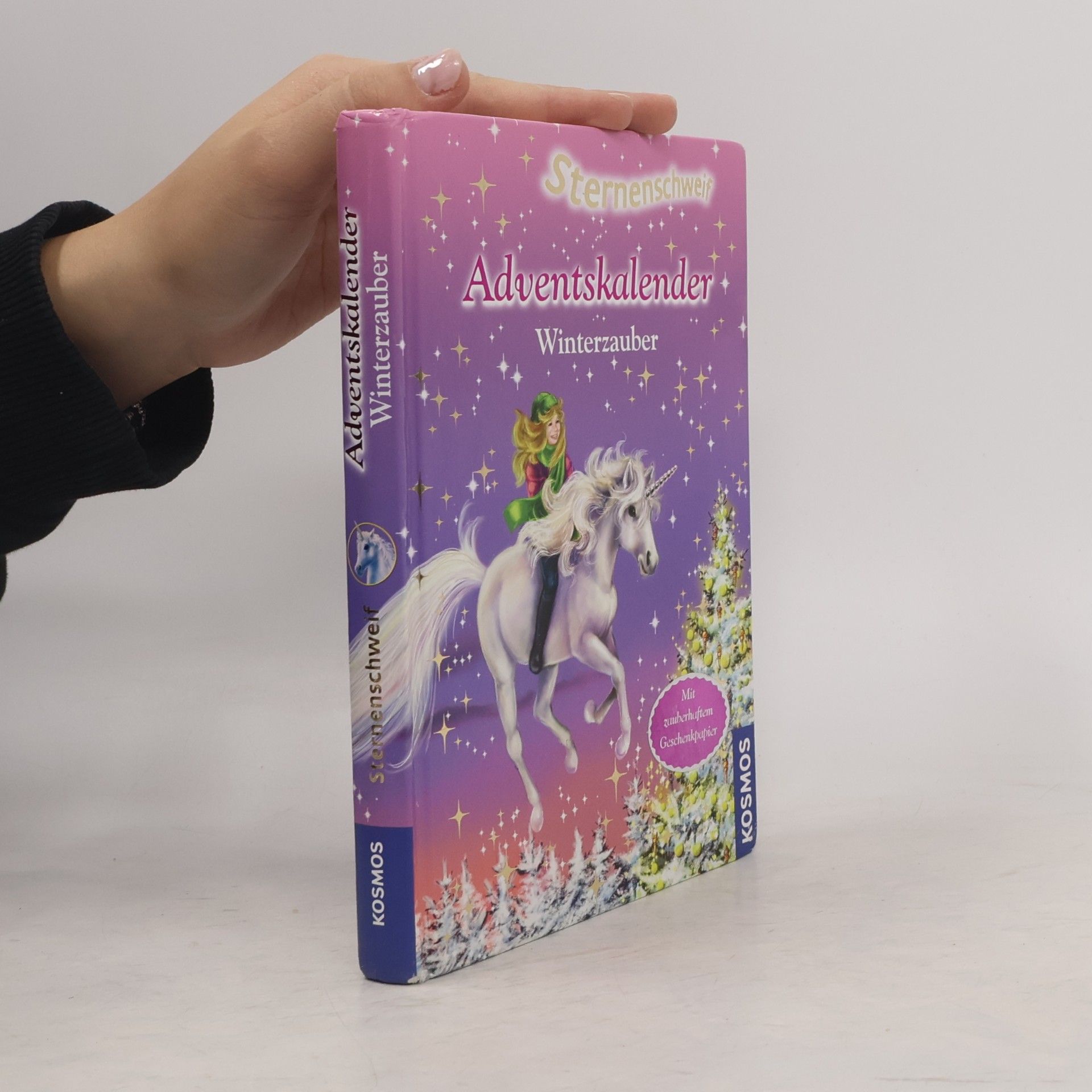 Anne Scheller Sternenschweif-Adventskalender Winterzauber