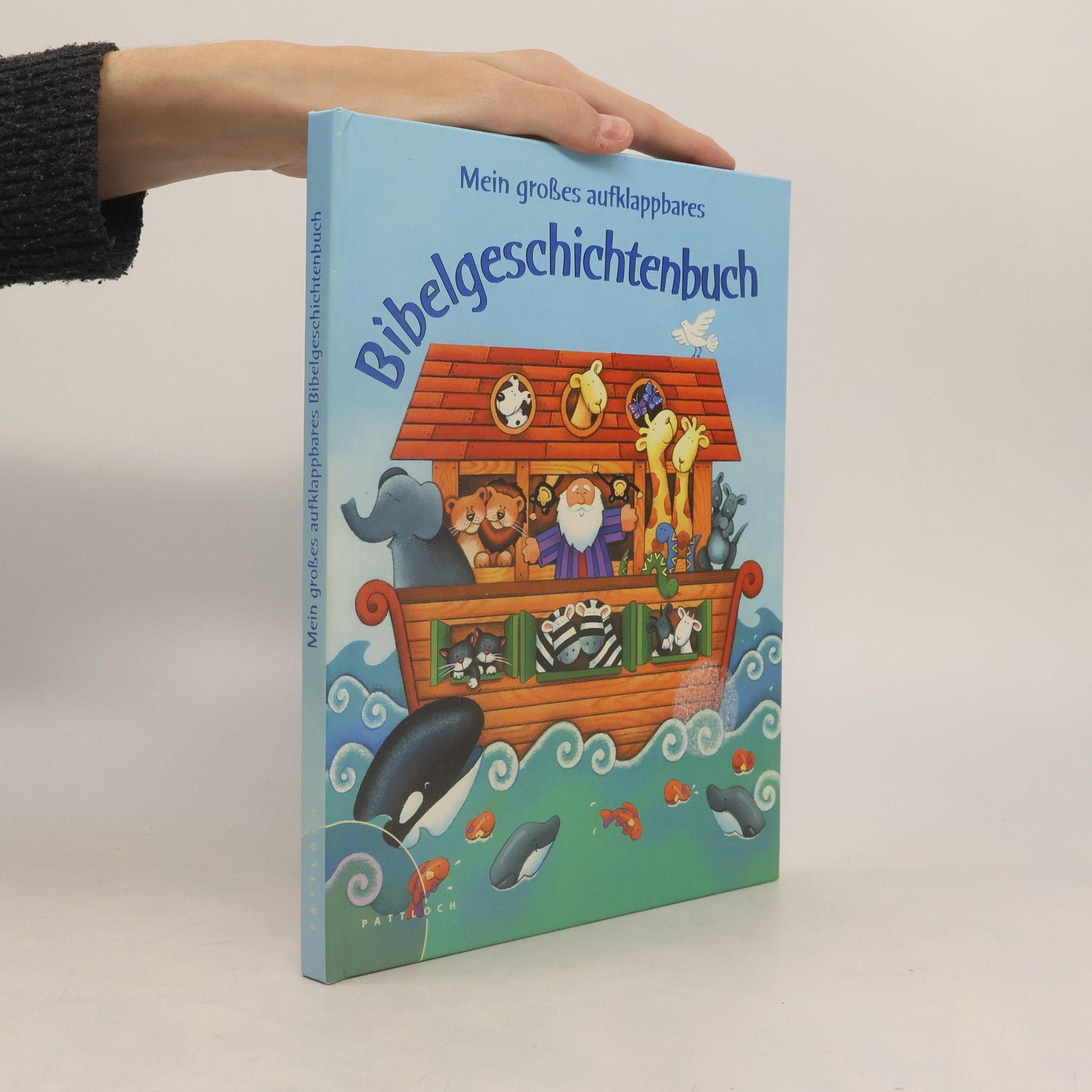 Allia Zobel Nolan Mein großes aufklappbares Bibelgeschichtenbuch
