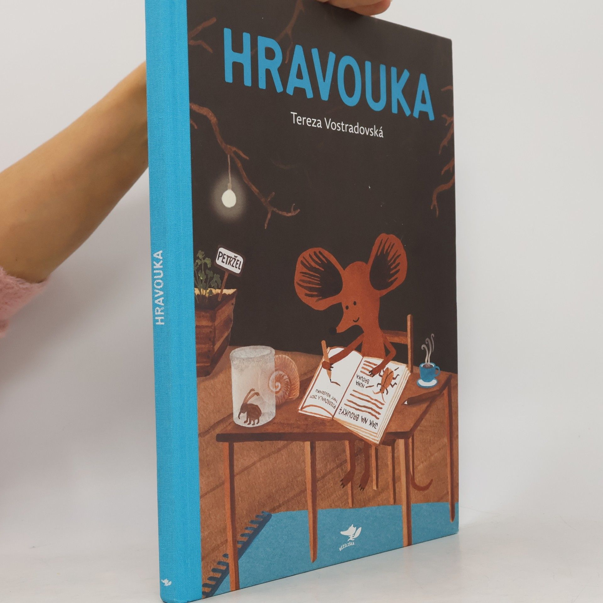 Tereza Vostradovská Hravouka