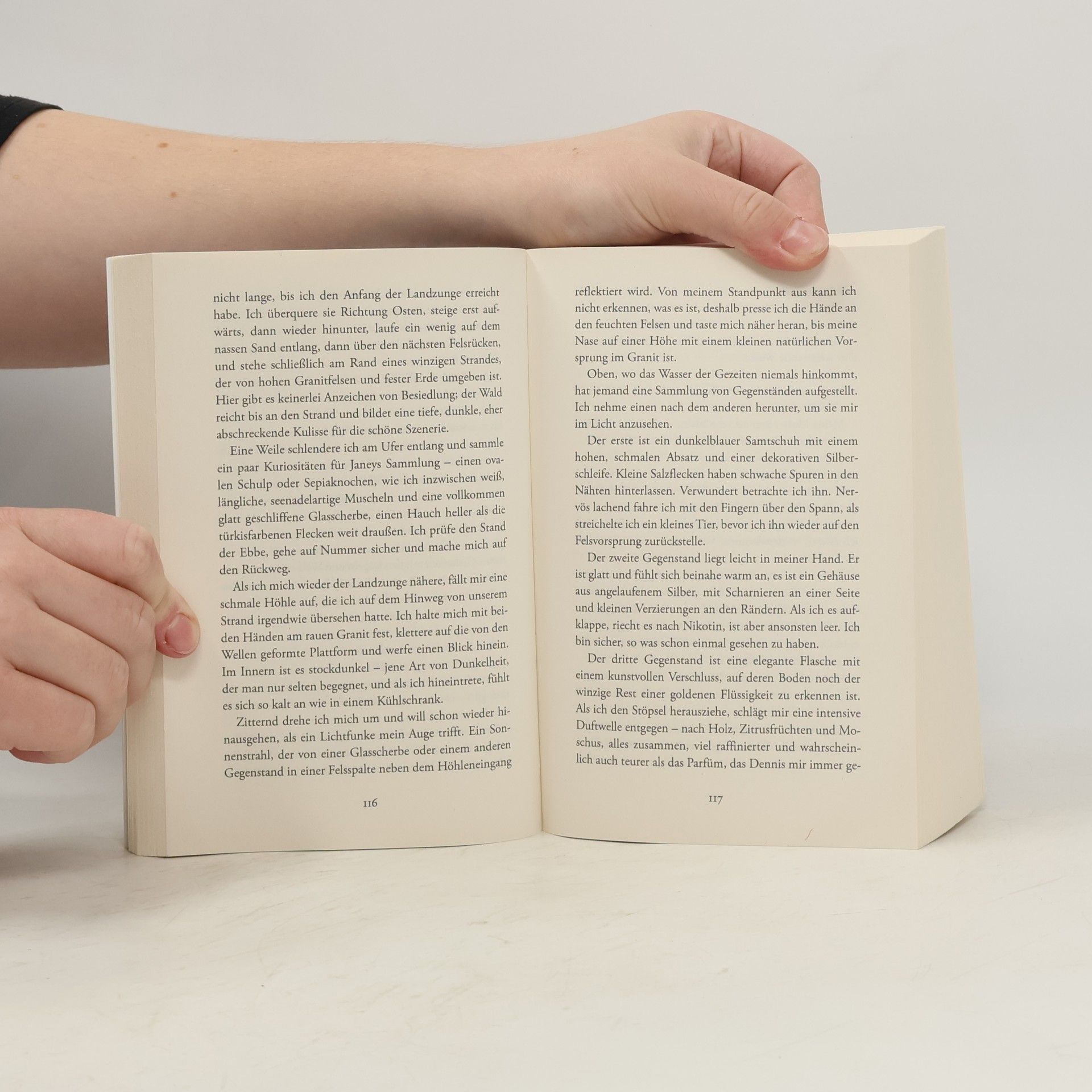 Jude Fisher Das Sturmhaus: Roman