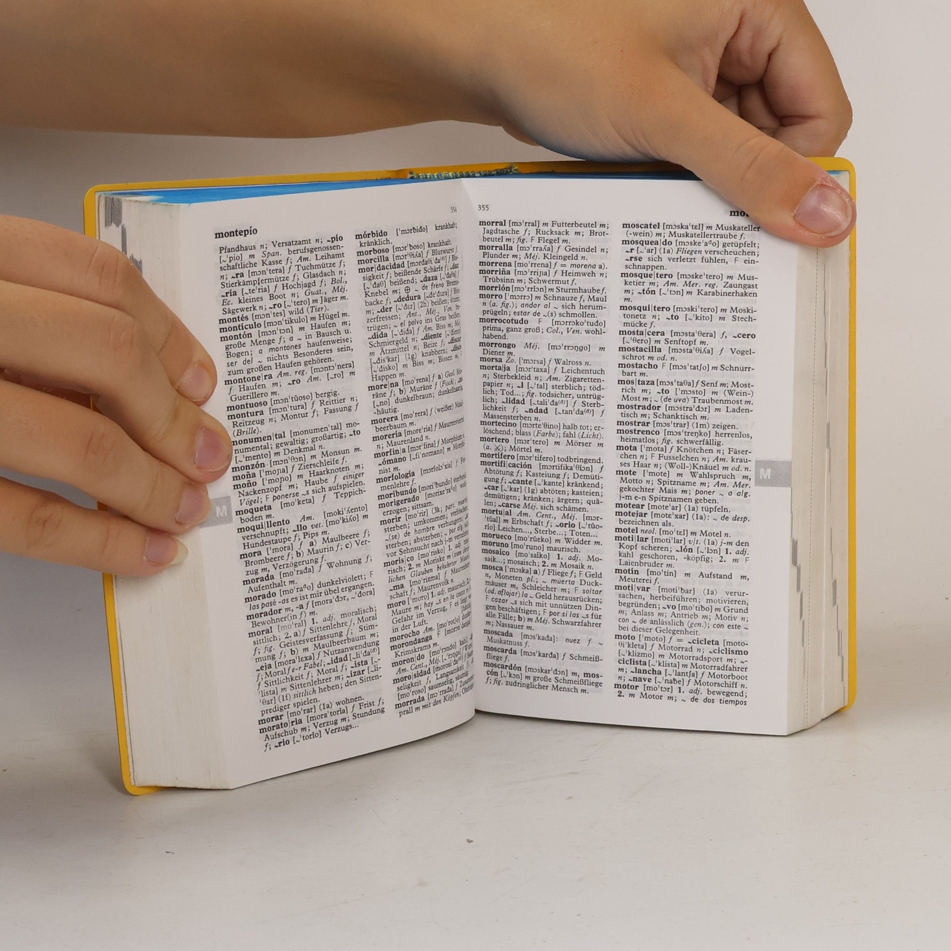 Langenscheidts Taschenwörterbuch Spanisch