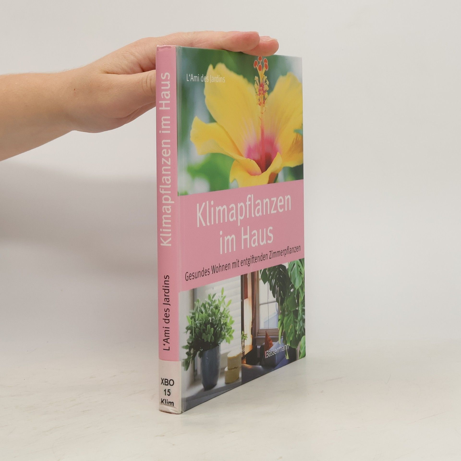 Klimapflanzen im Haus