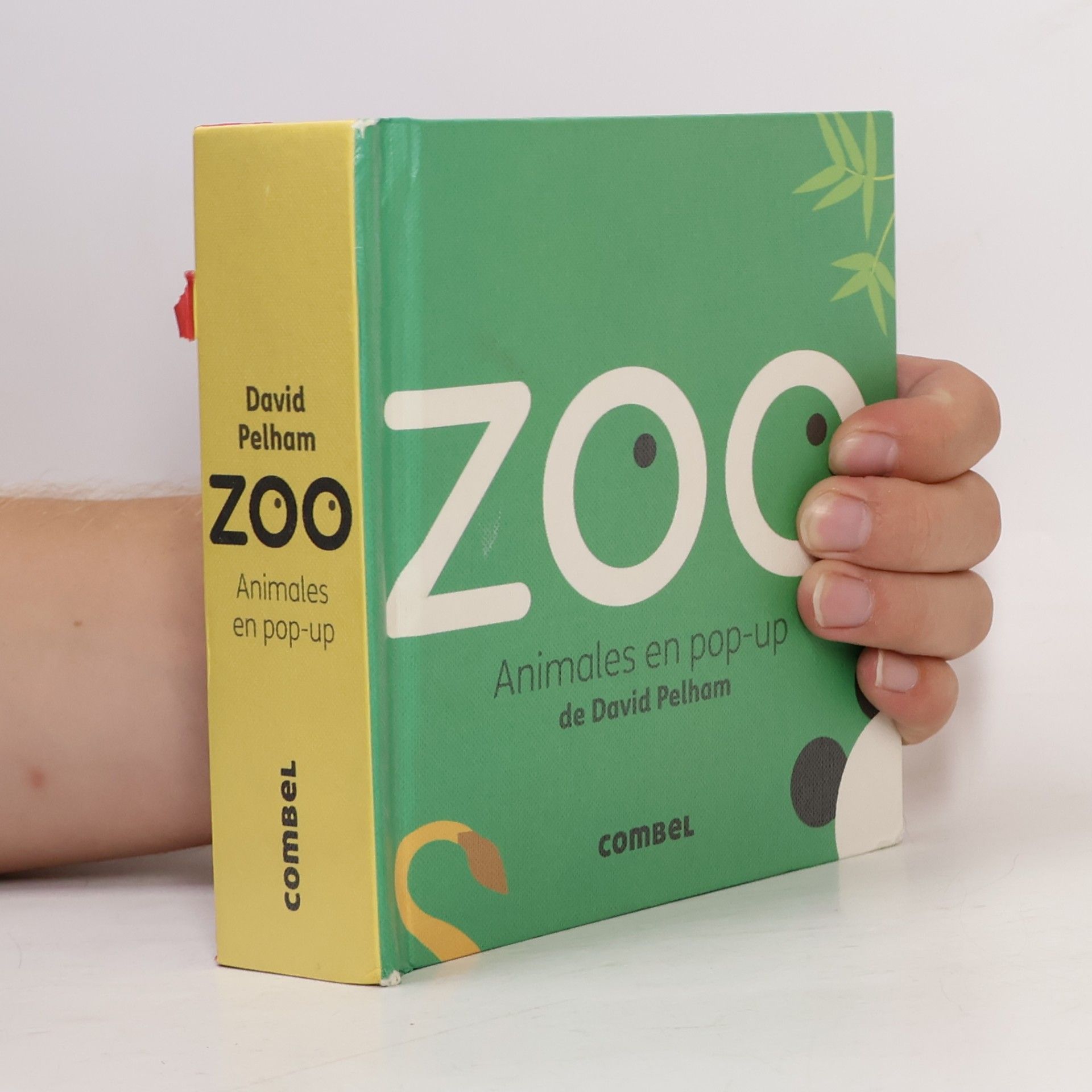 Georgina Mercader Zoo