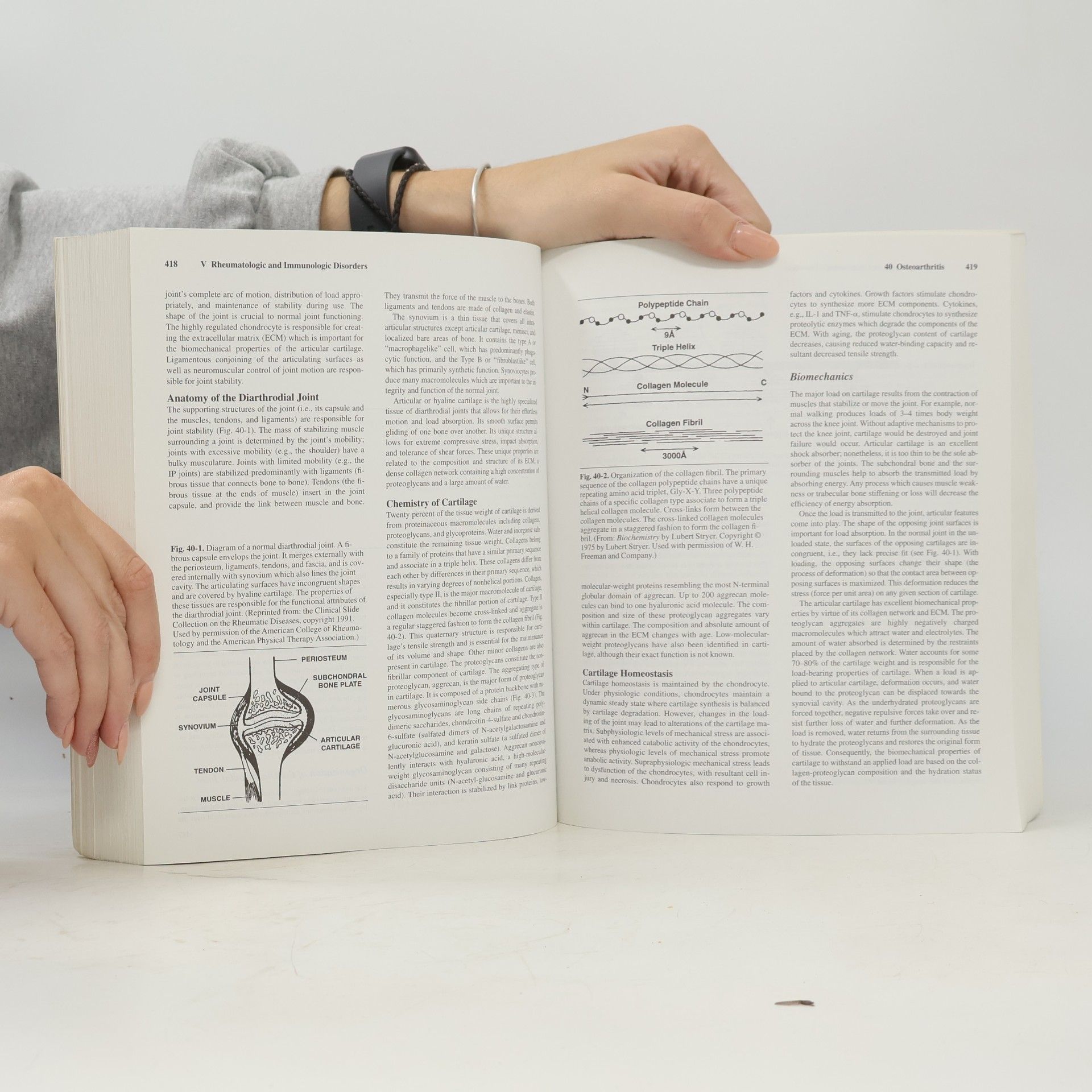 Christian E. Kaufman Essentials of pathophysiology