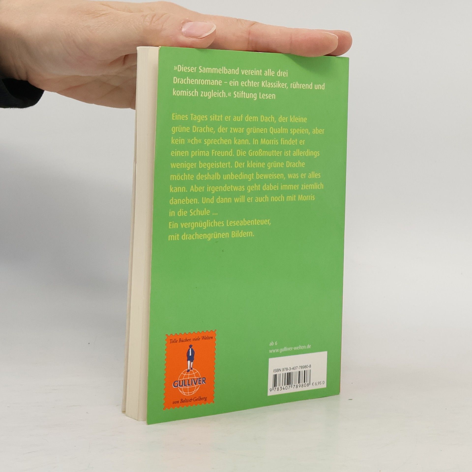 Ursula Fuchs Das grosse Buch vom kleinen grünen Drachen