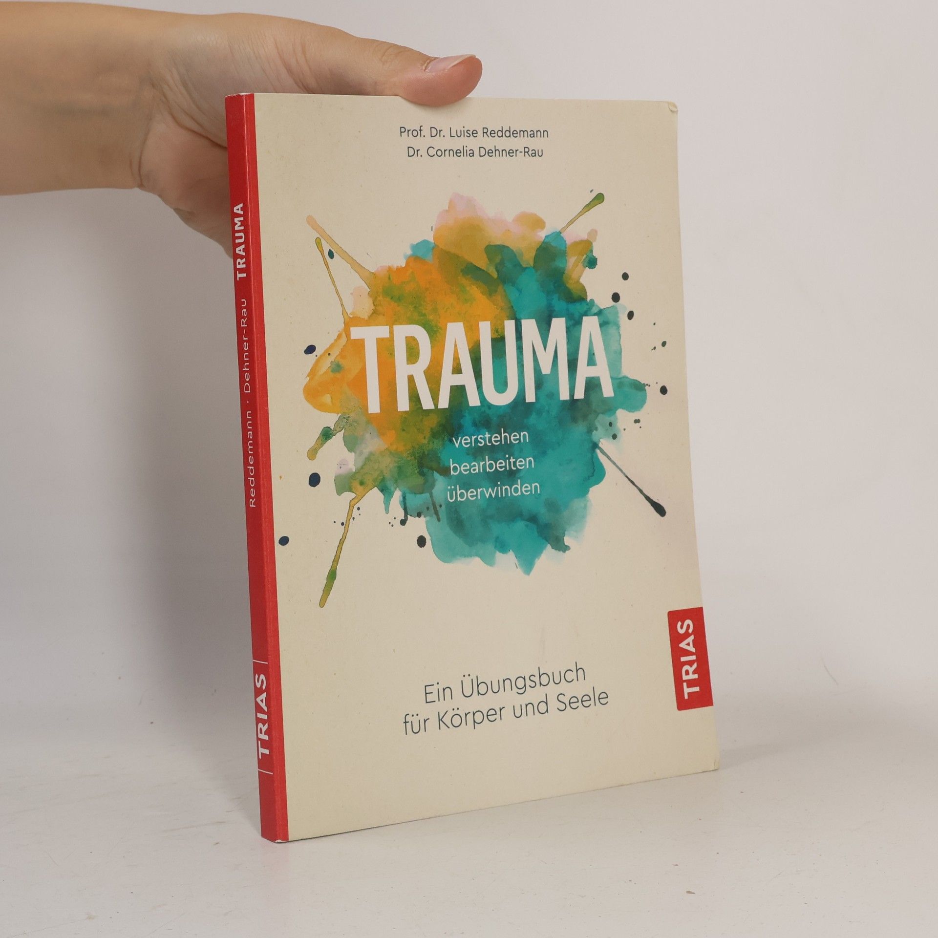 Trauma verstehen, bearbeiten, überwinden