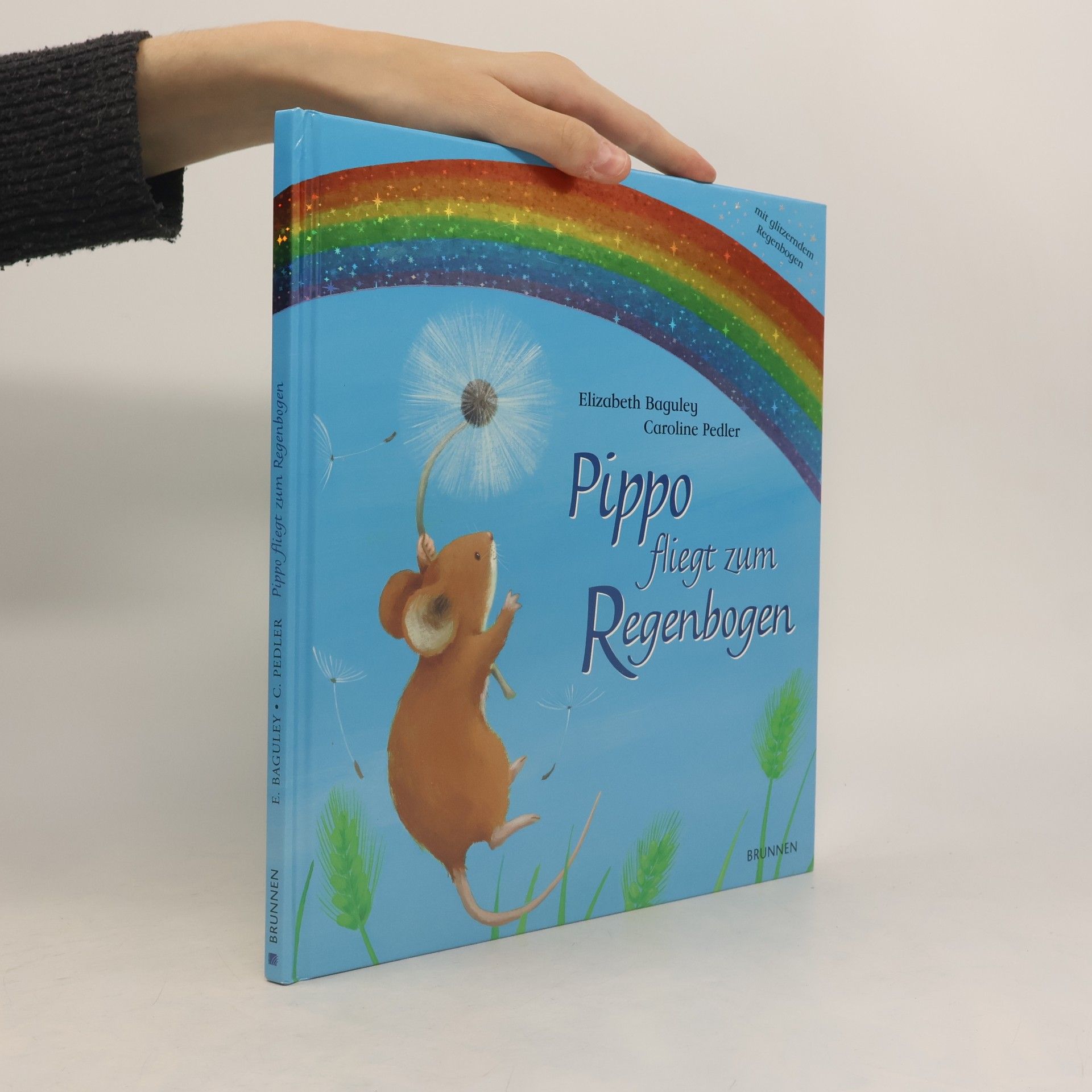 Pippo fliegt zum Regenbogen