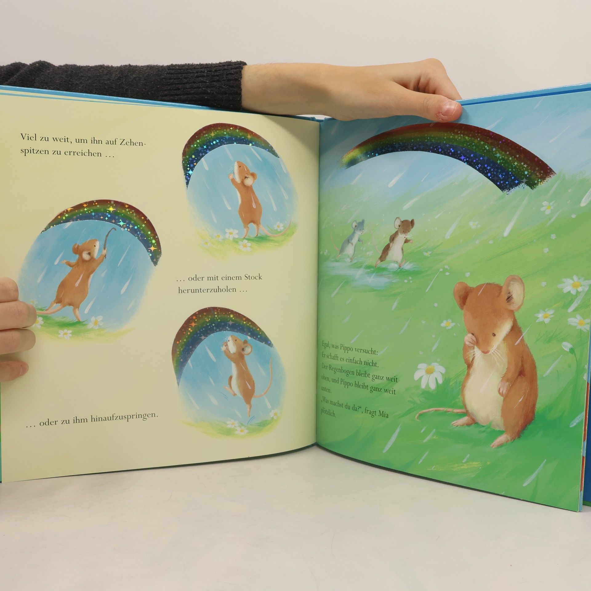 Elizabeth Baguley Pippo fliegt zum Regenbogen