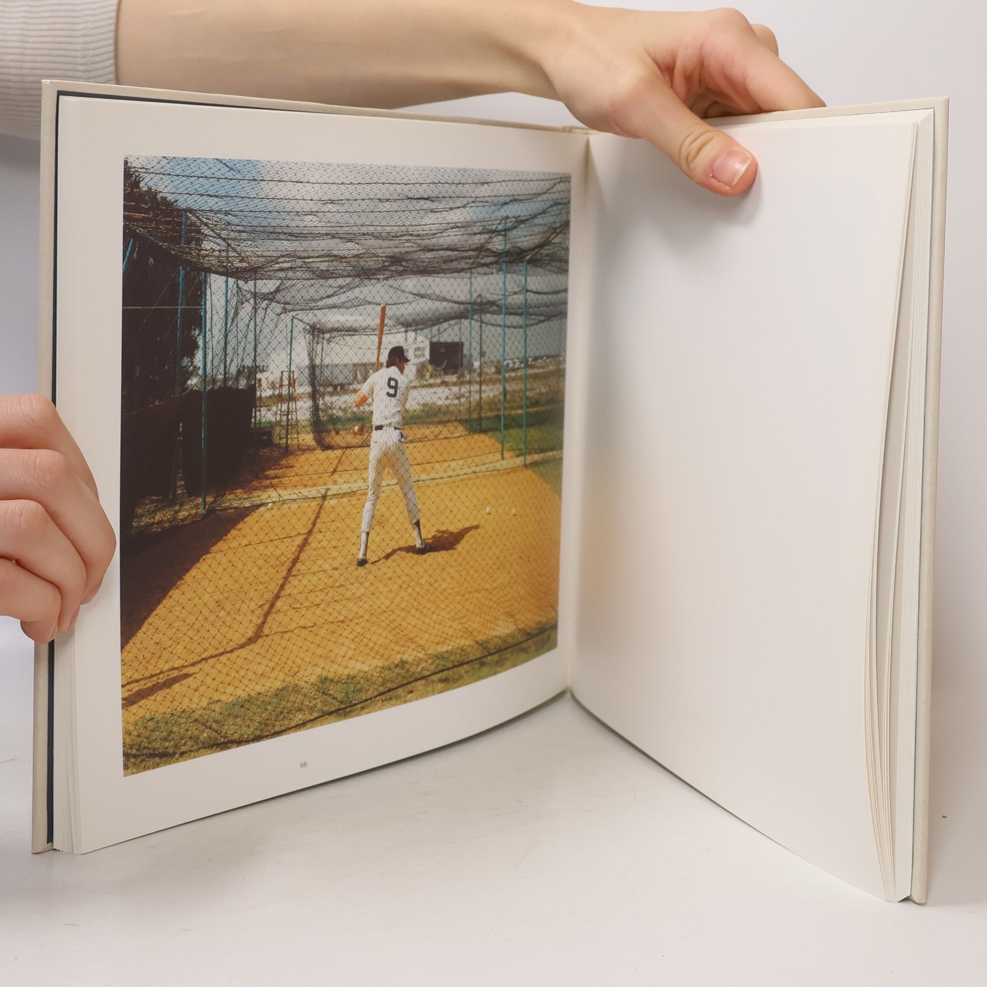 Stephen Shore Stephen Shore. Fotografien