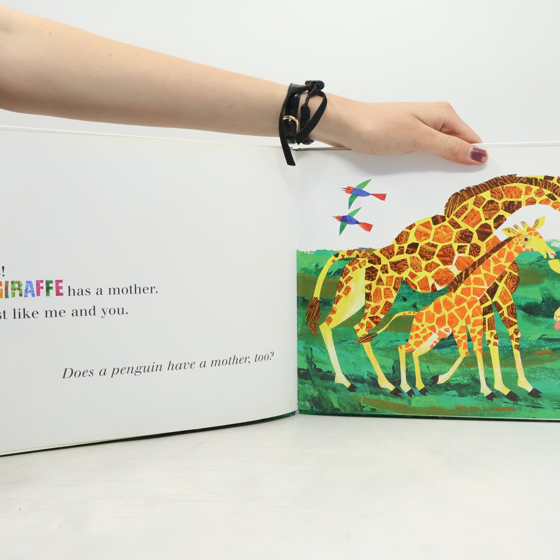 Eric Carle Does a Kangaroo Have a Mother, Too?