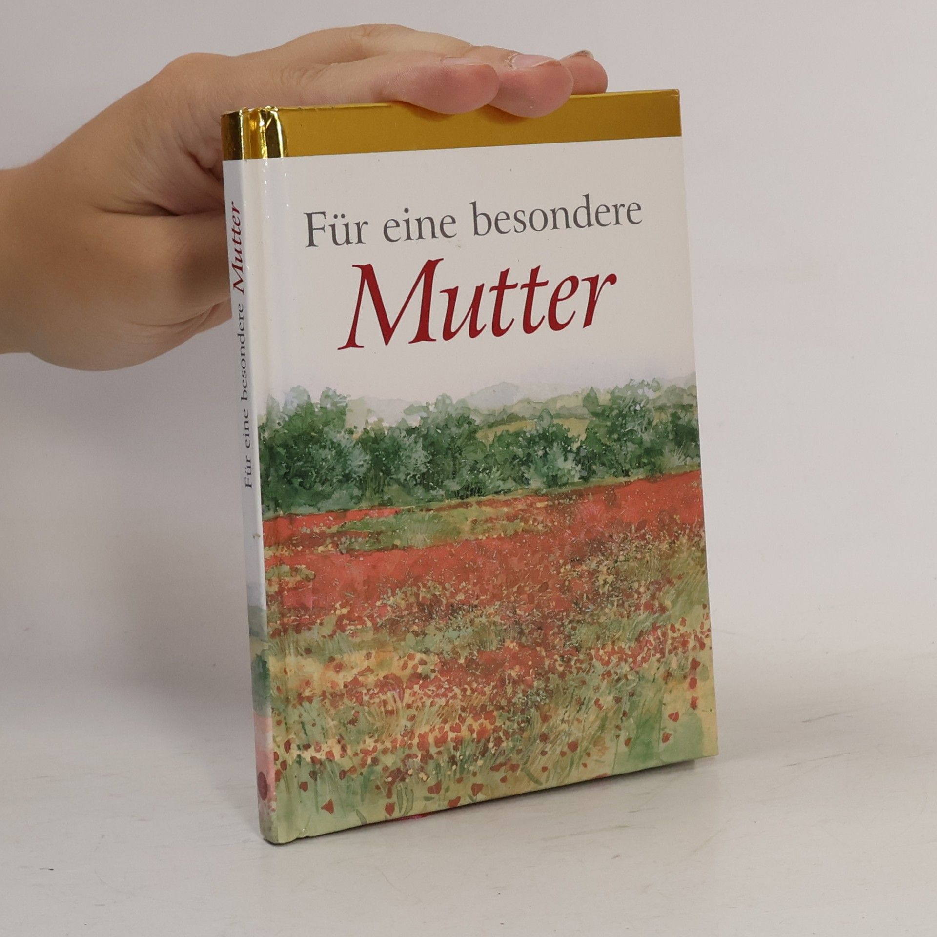 kolektiv Für eine besondere Mutter