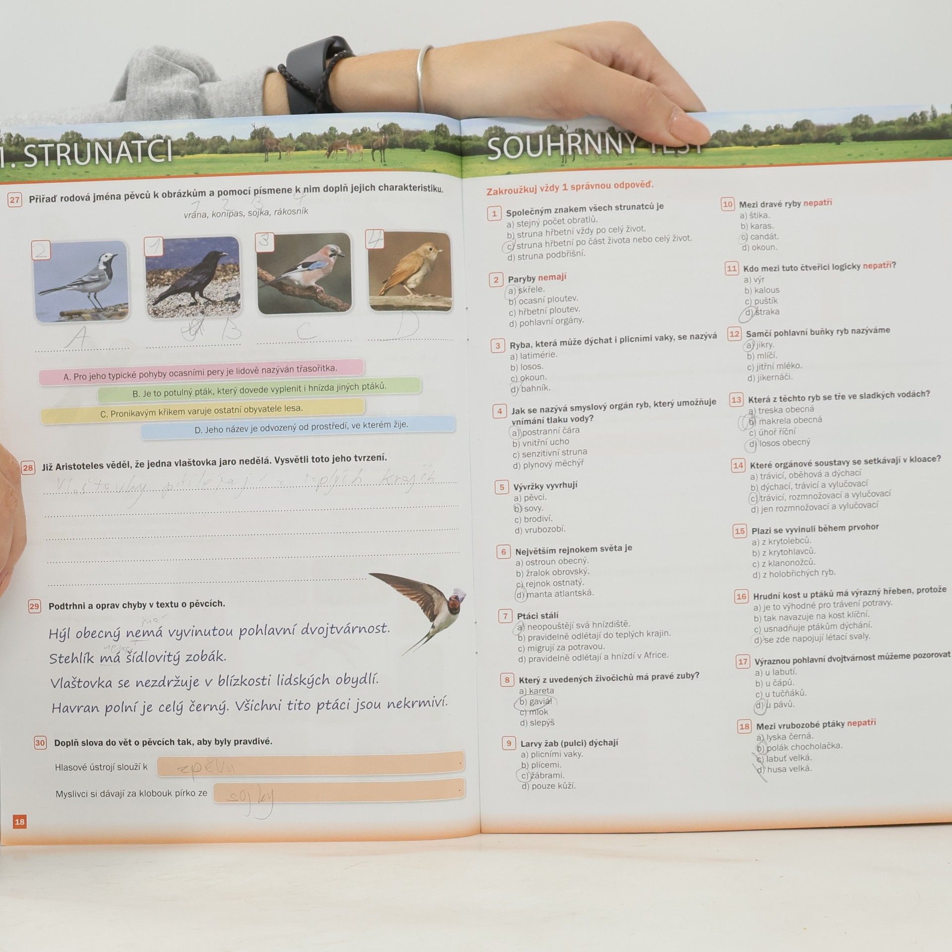 Autorenkollektiv Hravý přírodopis 7