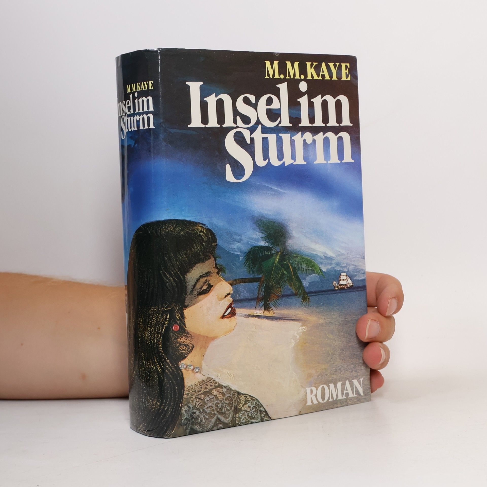 Mary Margaret Kaye Insel im Sturm