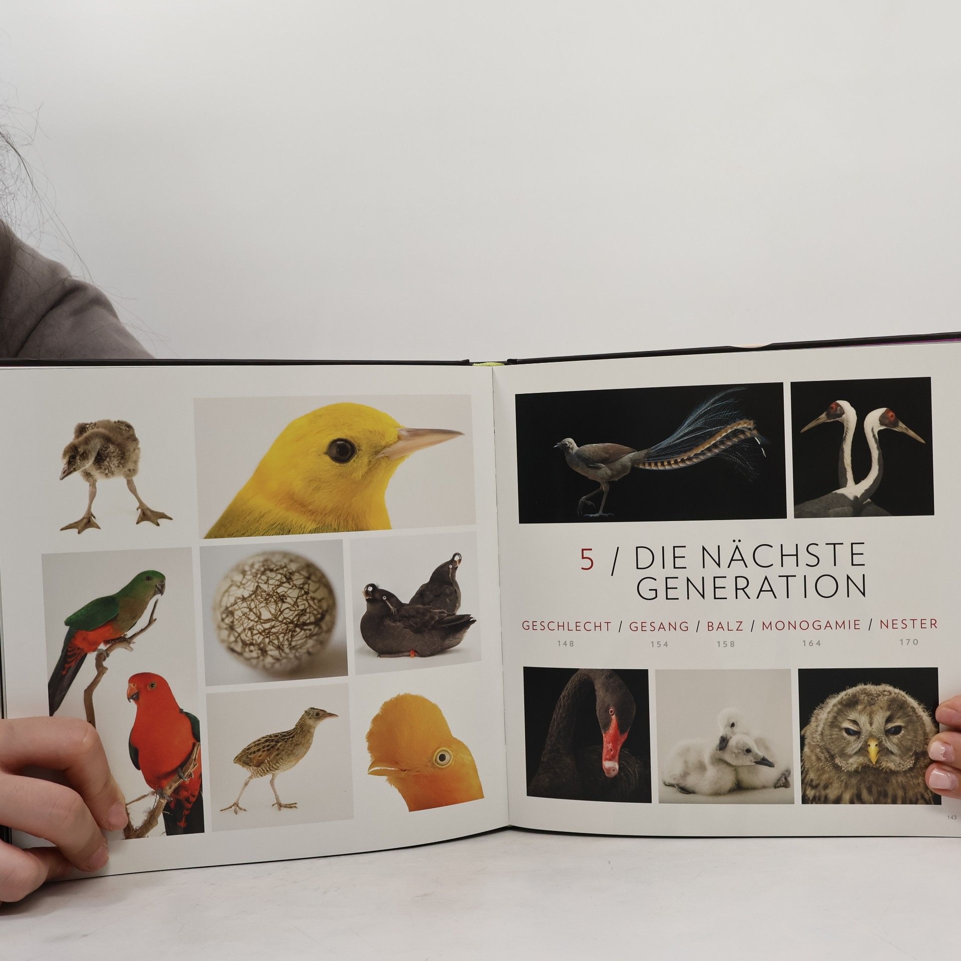Joel Sartore Vogelreich