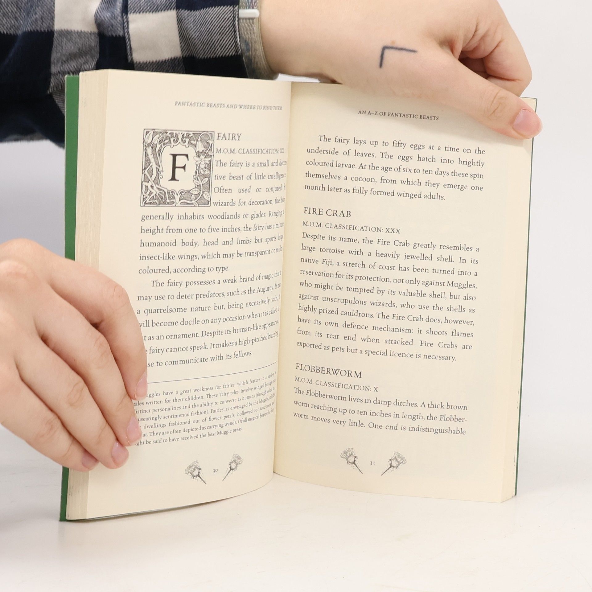J. K. Rowling Fantastic Beasts and where to find them: Newt Scamander