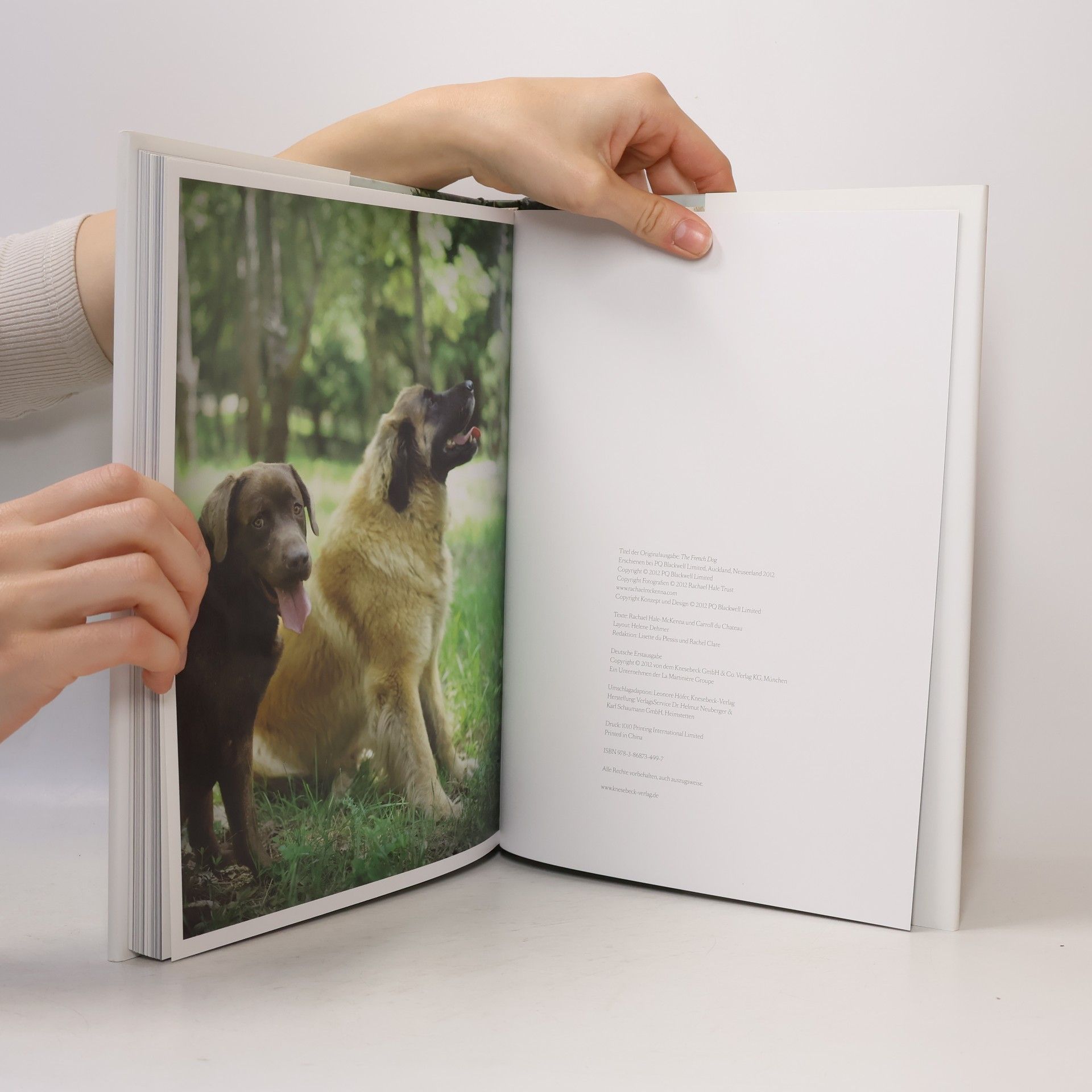 Rachael McKenna Hunde