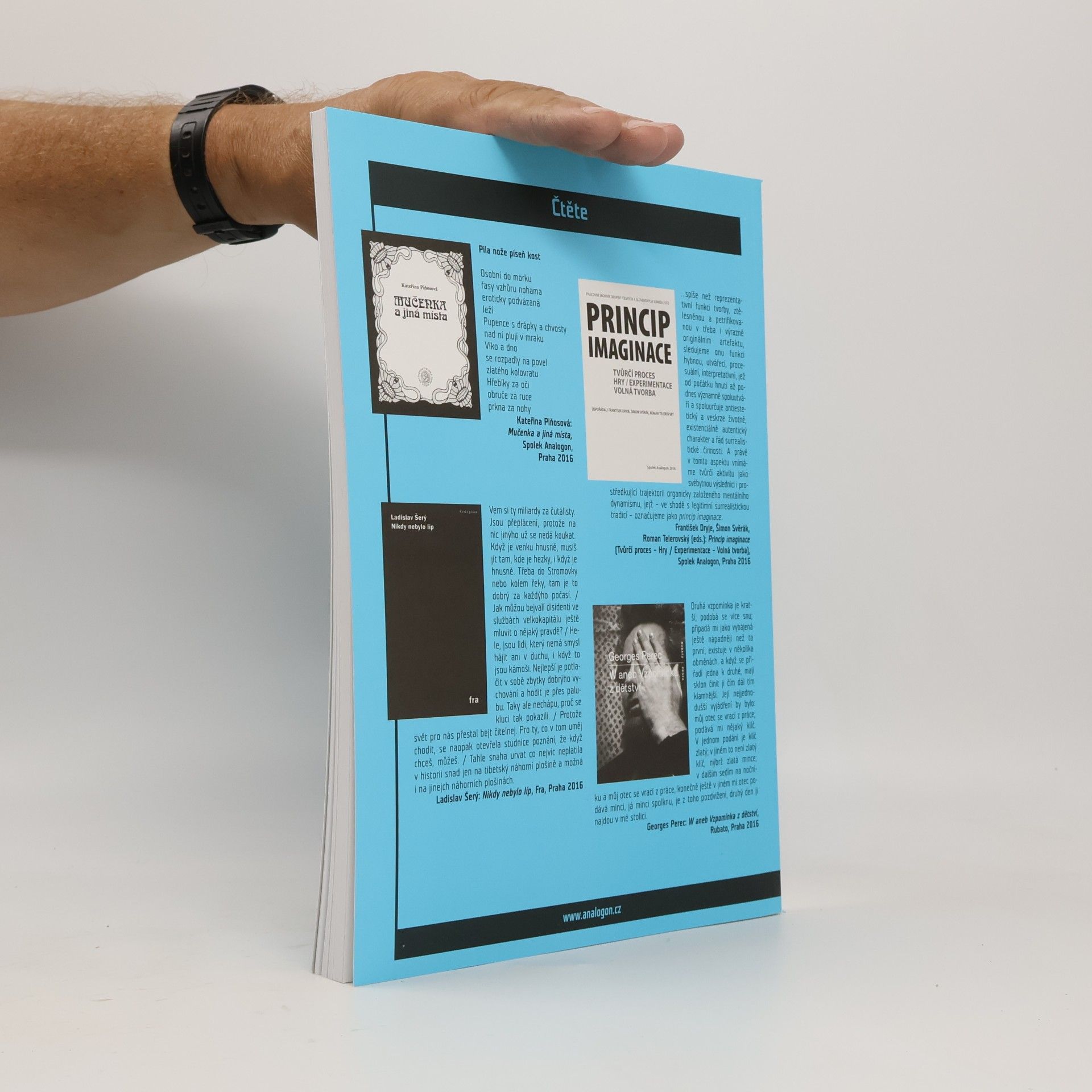 Various authors Analogon 79