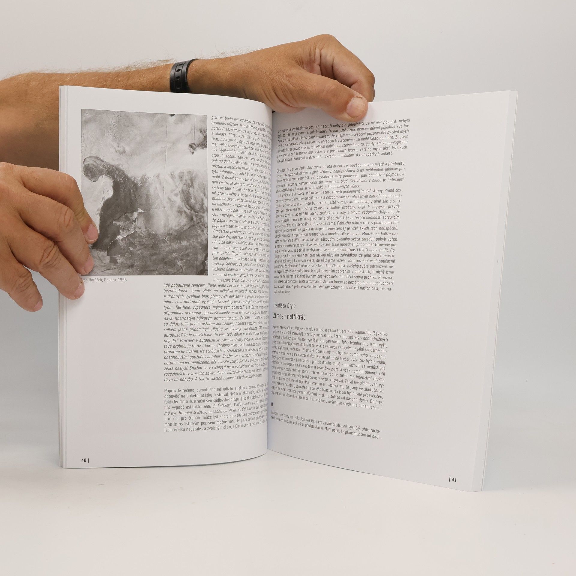Various authors Analogon 79
