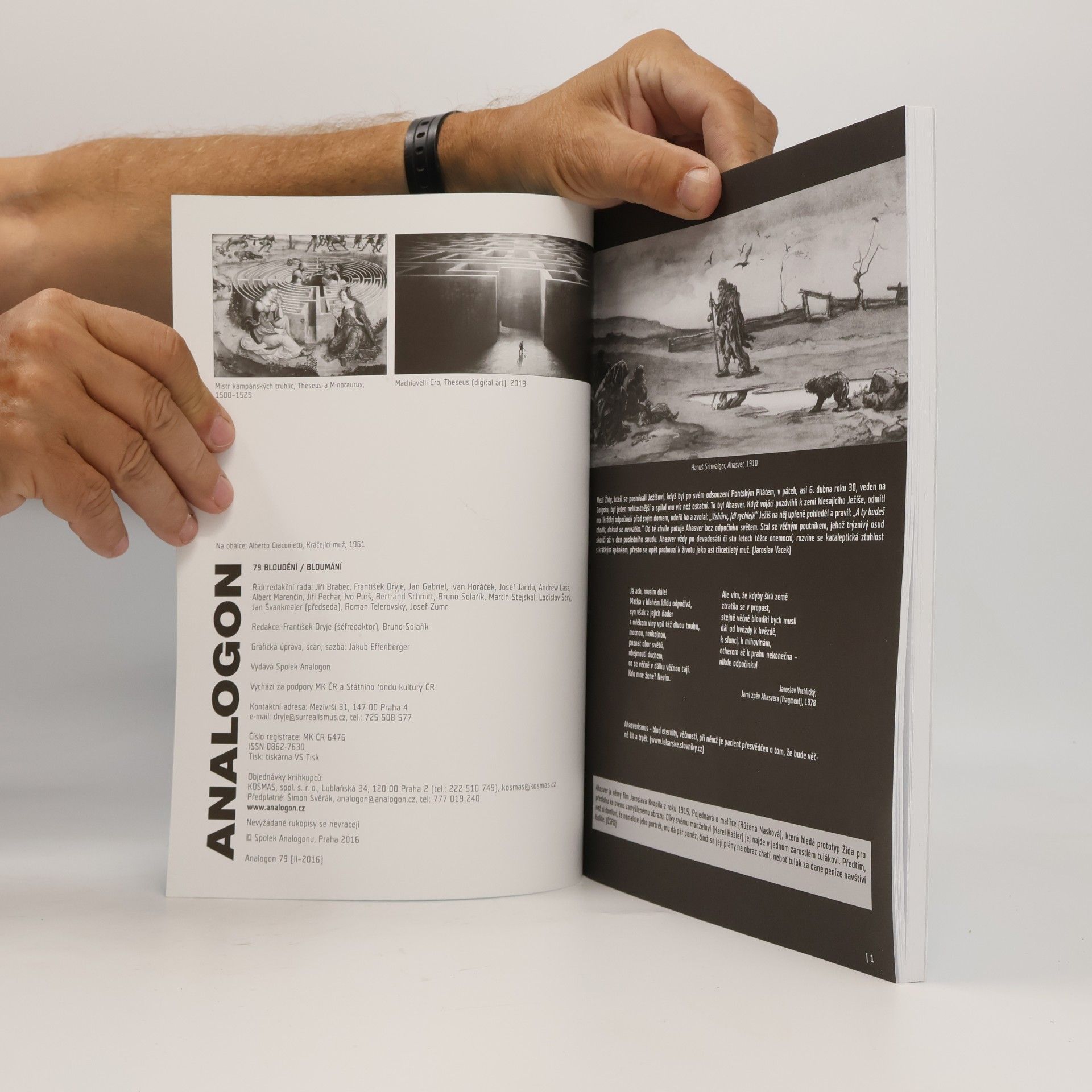 Various authors Analogon 79
