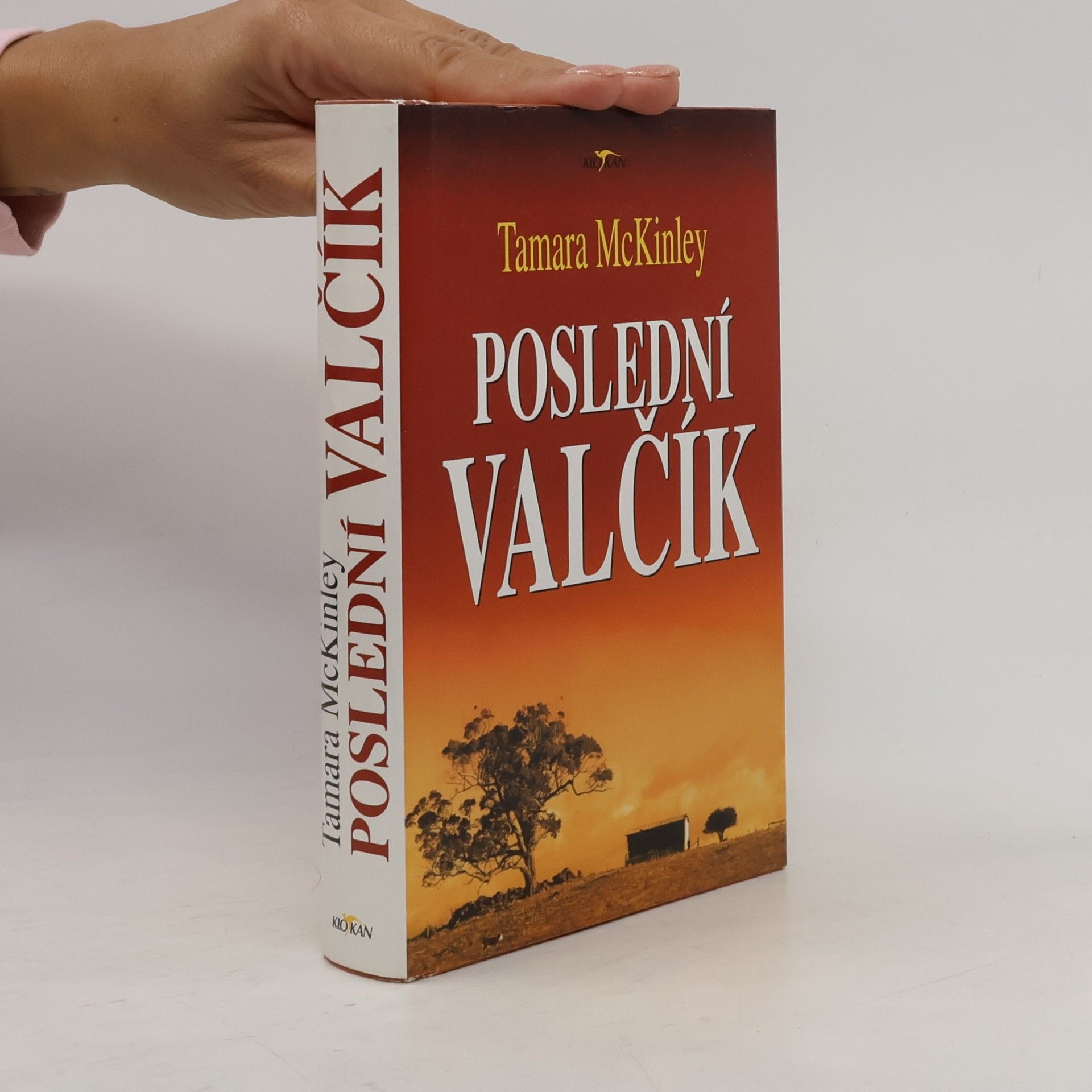 Tamara McKinley Poslední valčík