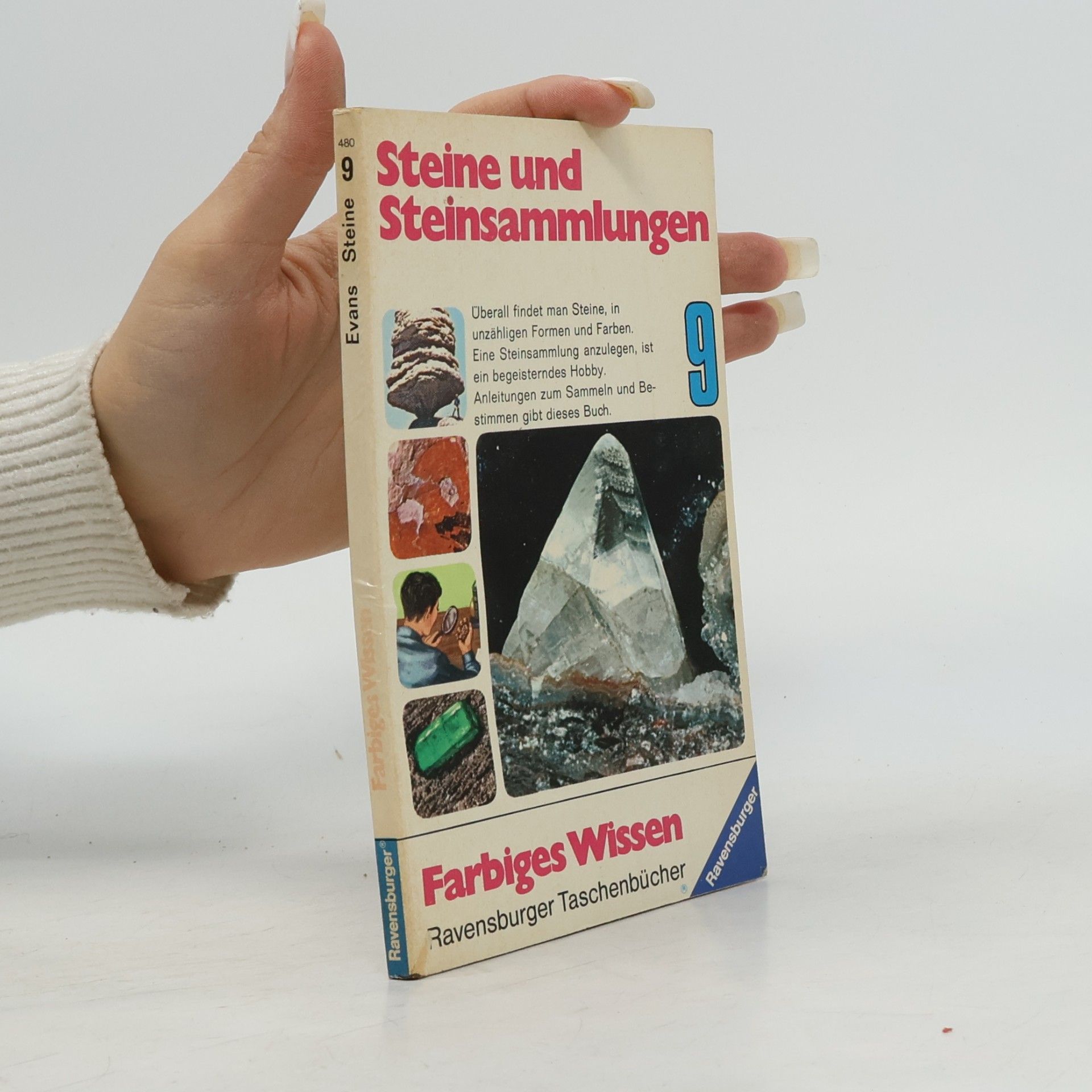 Eva Knox Evans Steine und Steinsammlungen