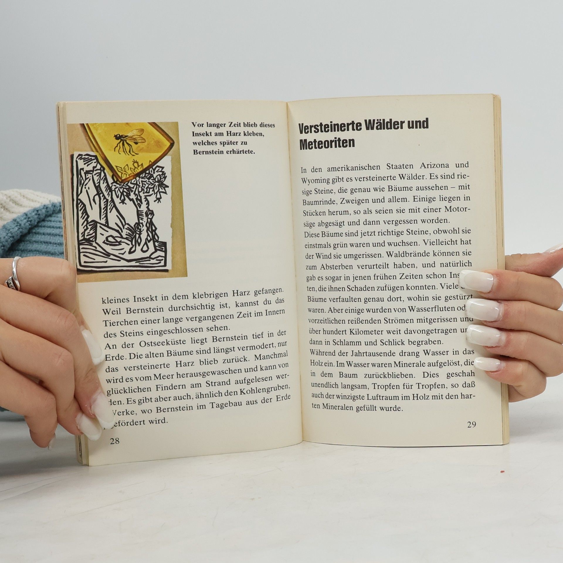Eva Knox Evans Steine und Steinsammlungen