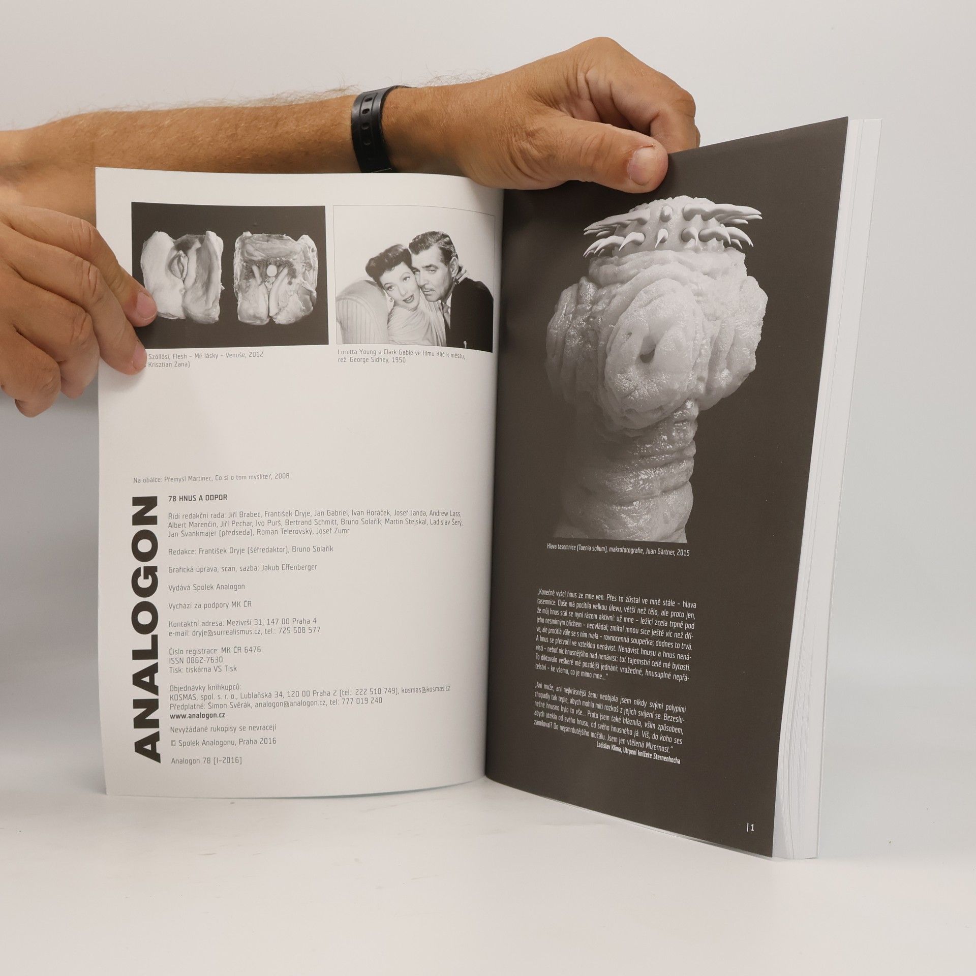 Various authors Analogon 78