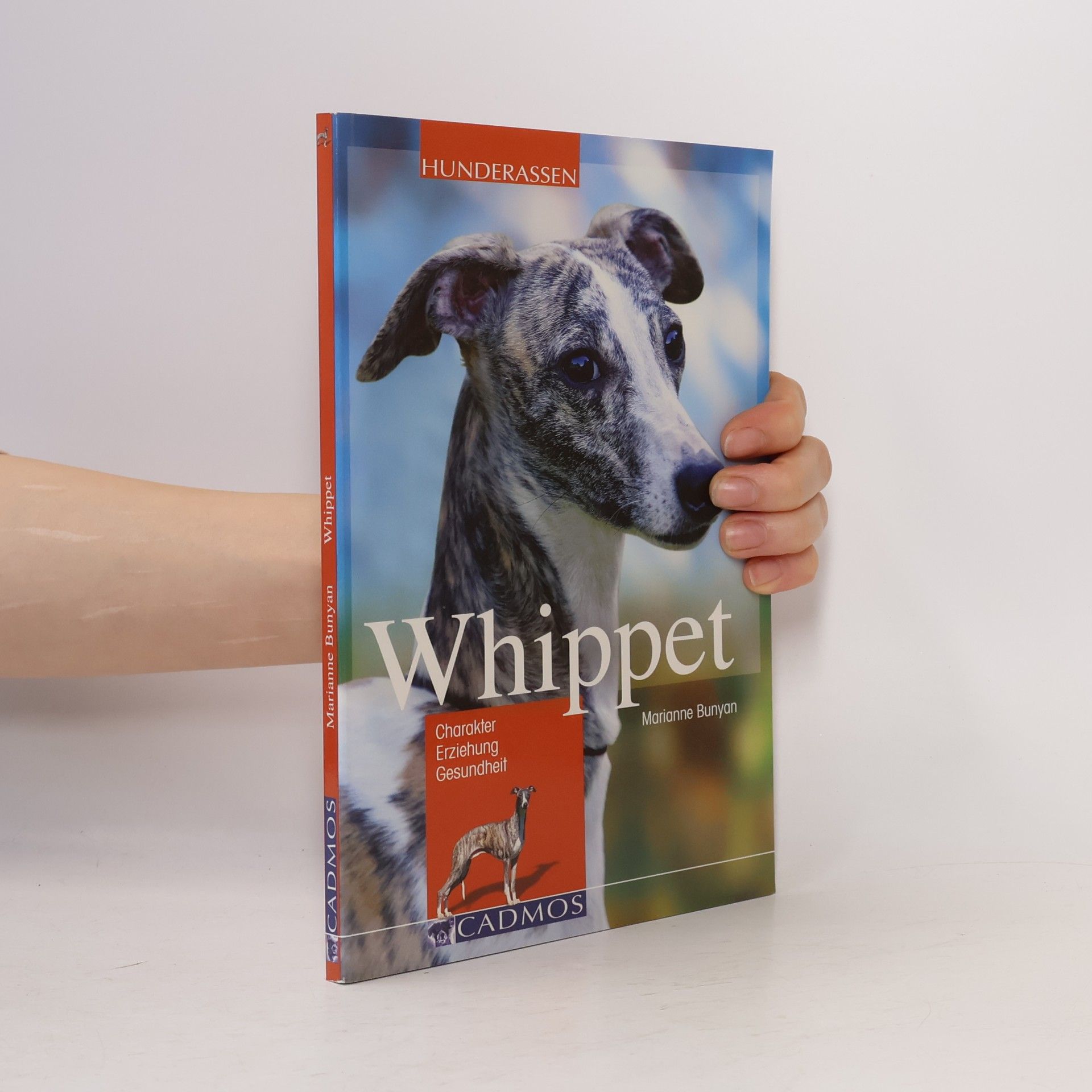 Marianne Bunyan Whippet