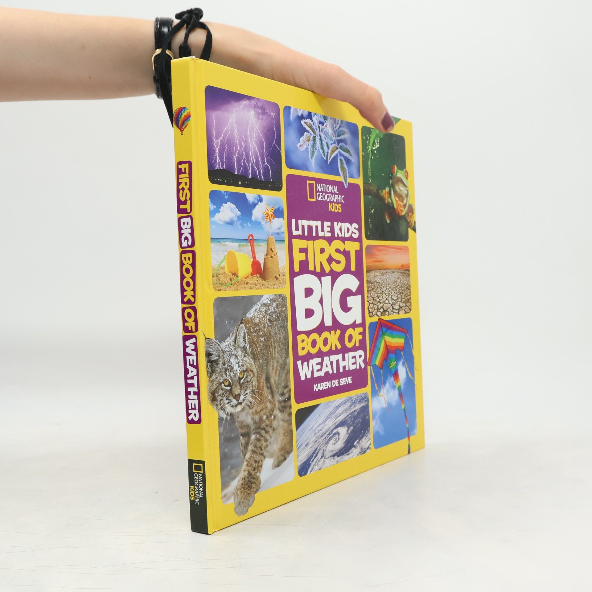 Karen de Seve Little Kids First Big Book of Weather