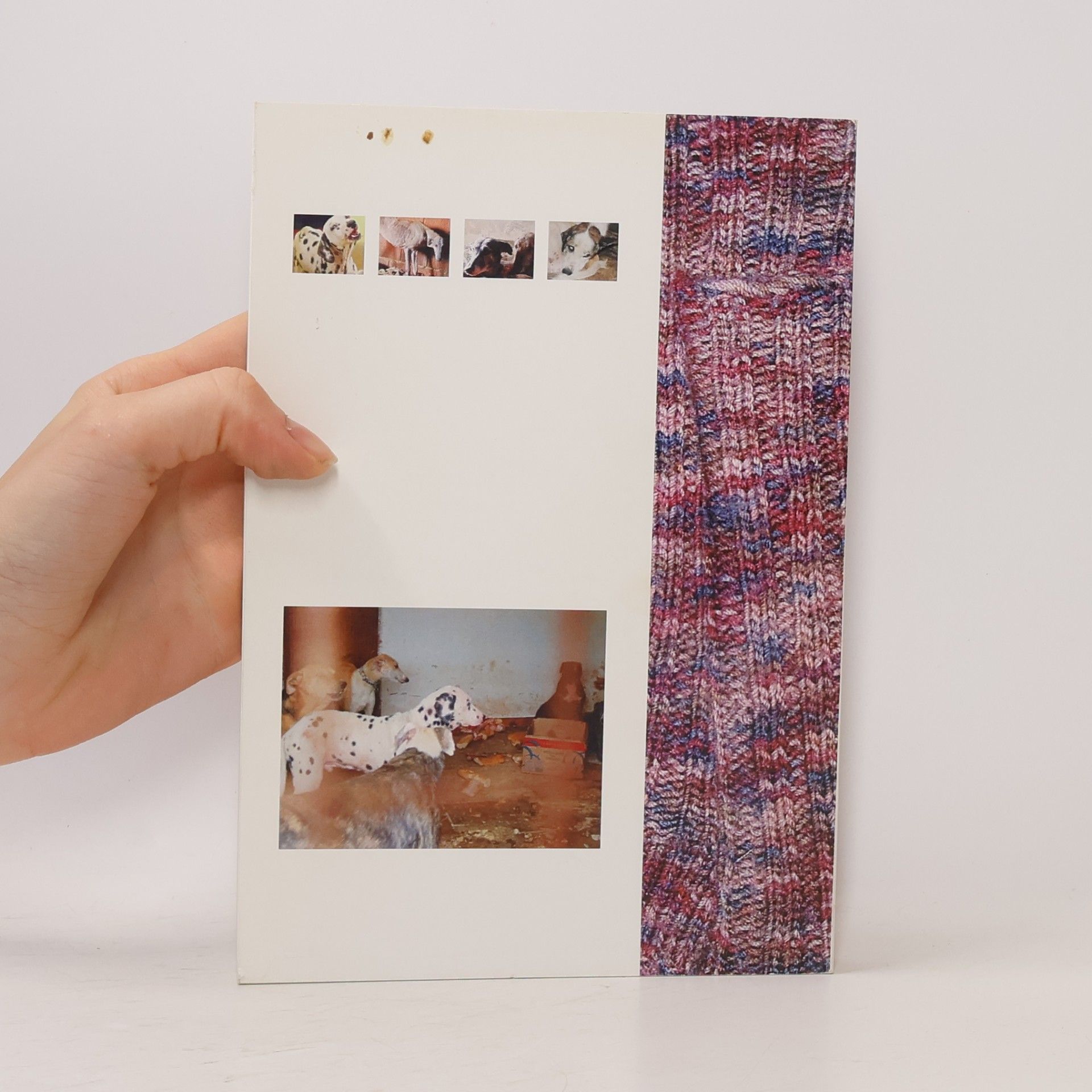 Ulrike Feifar Warme Socken für arme Socken