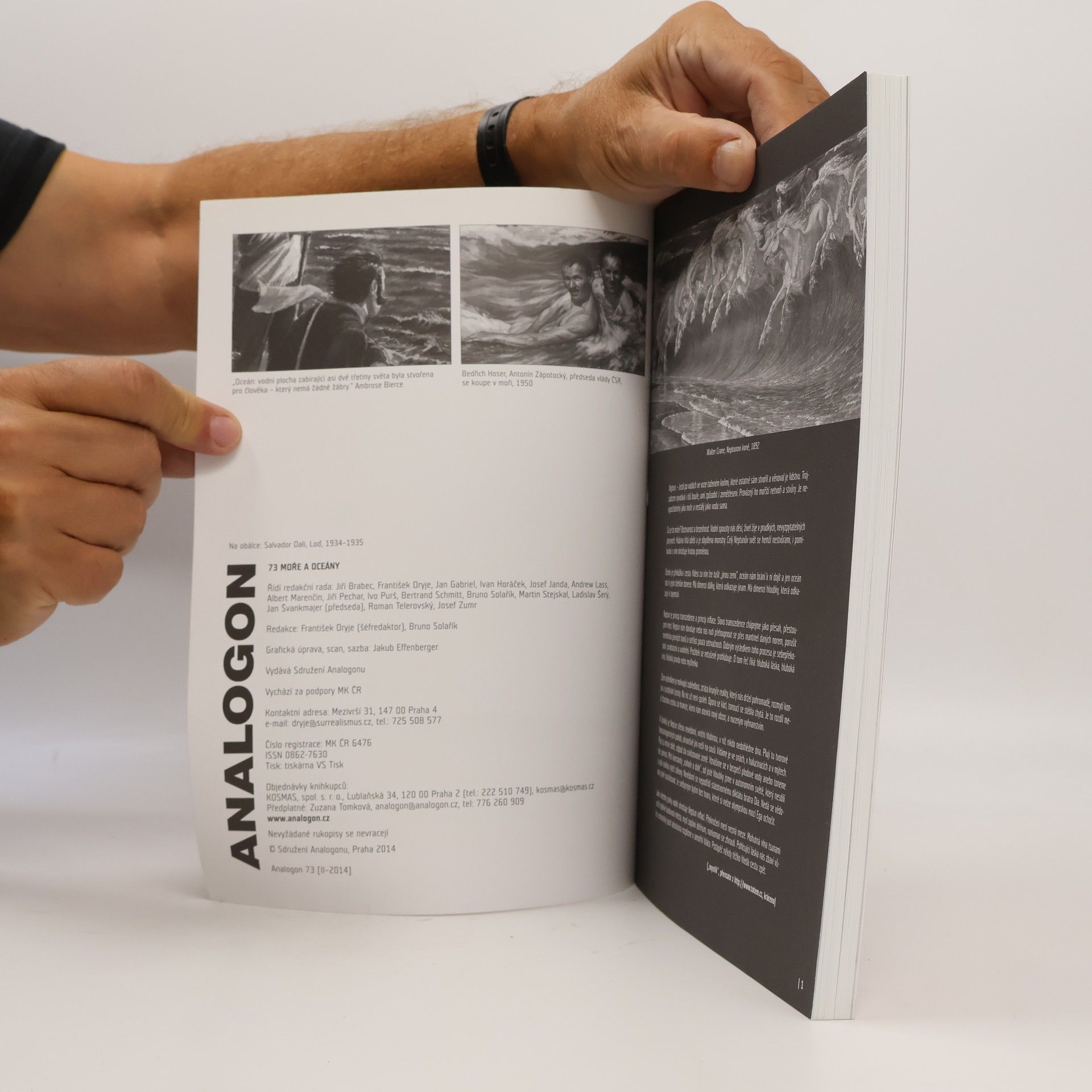 Various authors Analogon 73