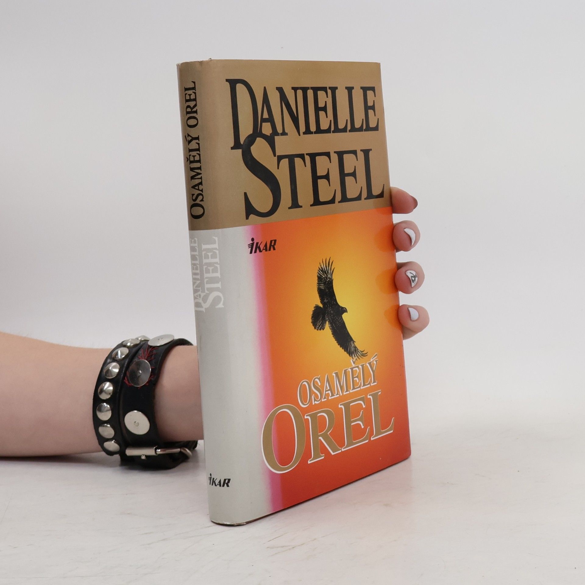 Danielle Steel Osamělý orel