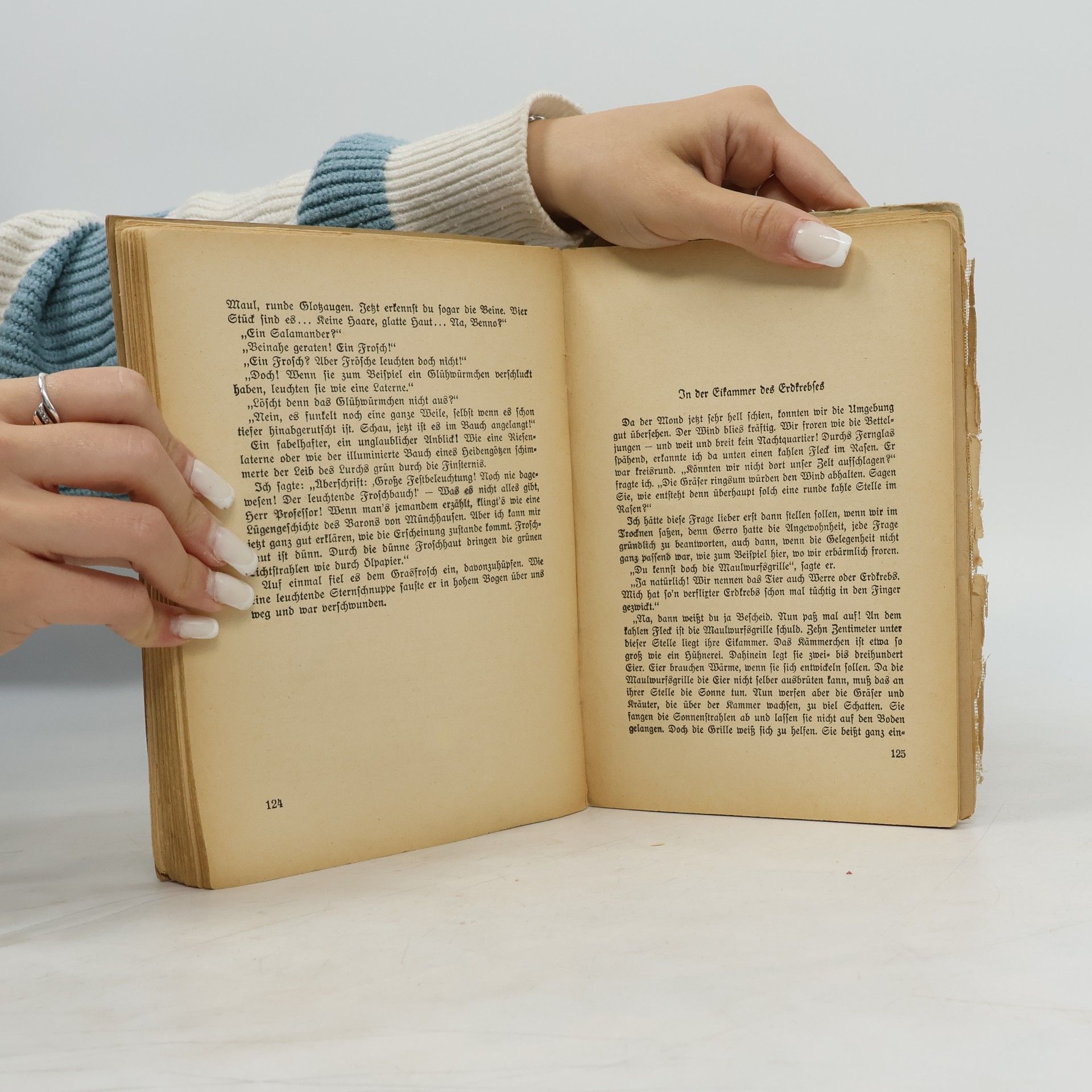 Autorenkollektiv Studienpläne der Fakultät für Bauingenieurwesen der Technischen Universität Berlin