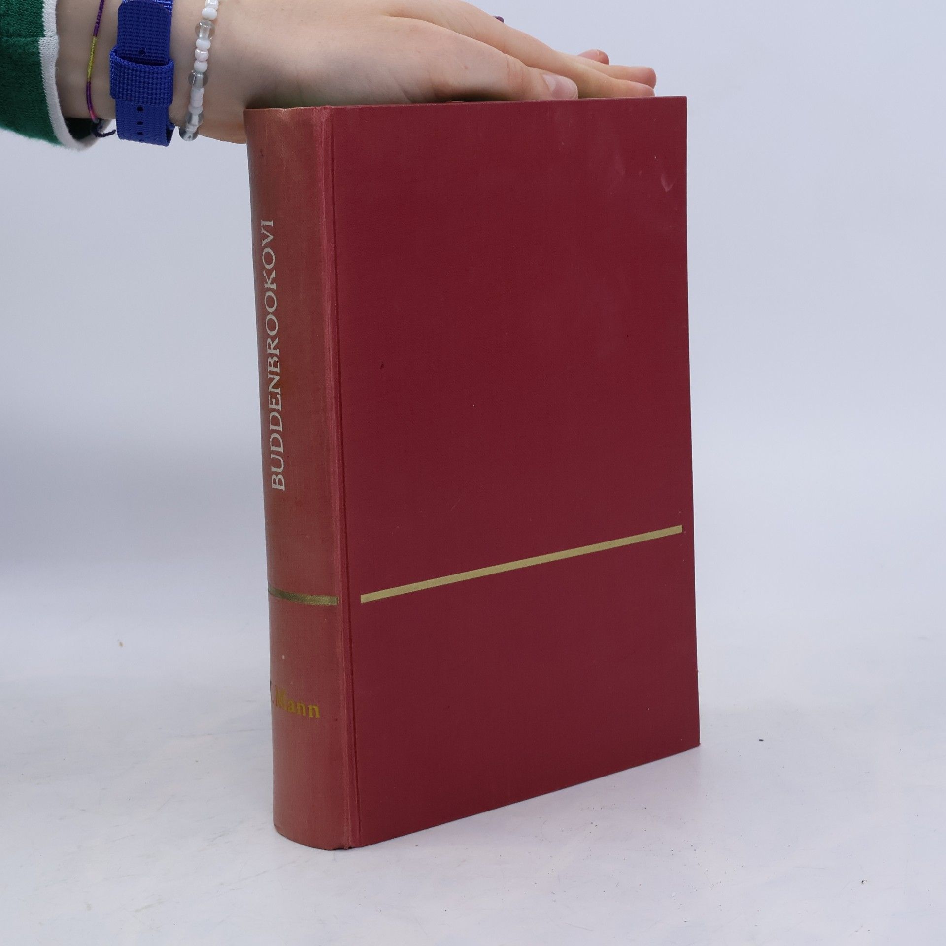 Thomas Mann Buddenbrookovi 3-4