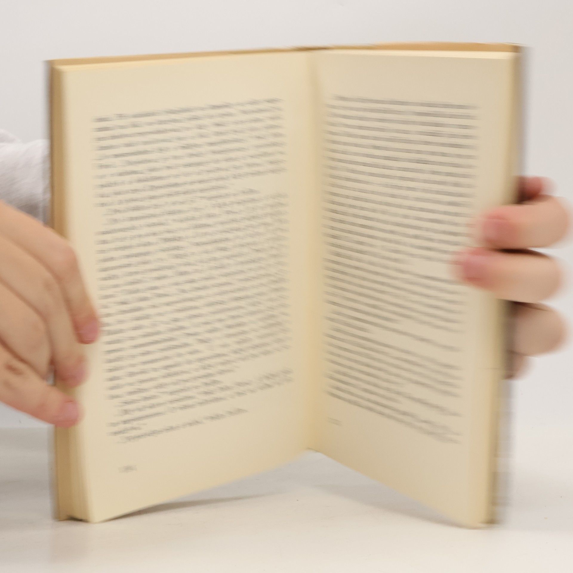 Peter Handke Nežádané neštěstí