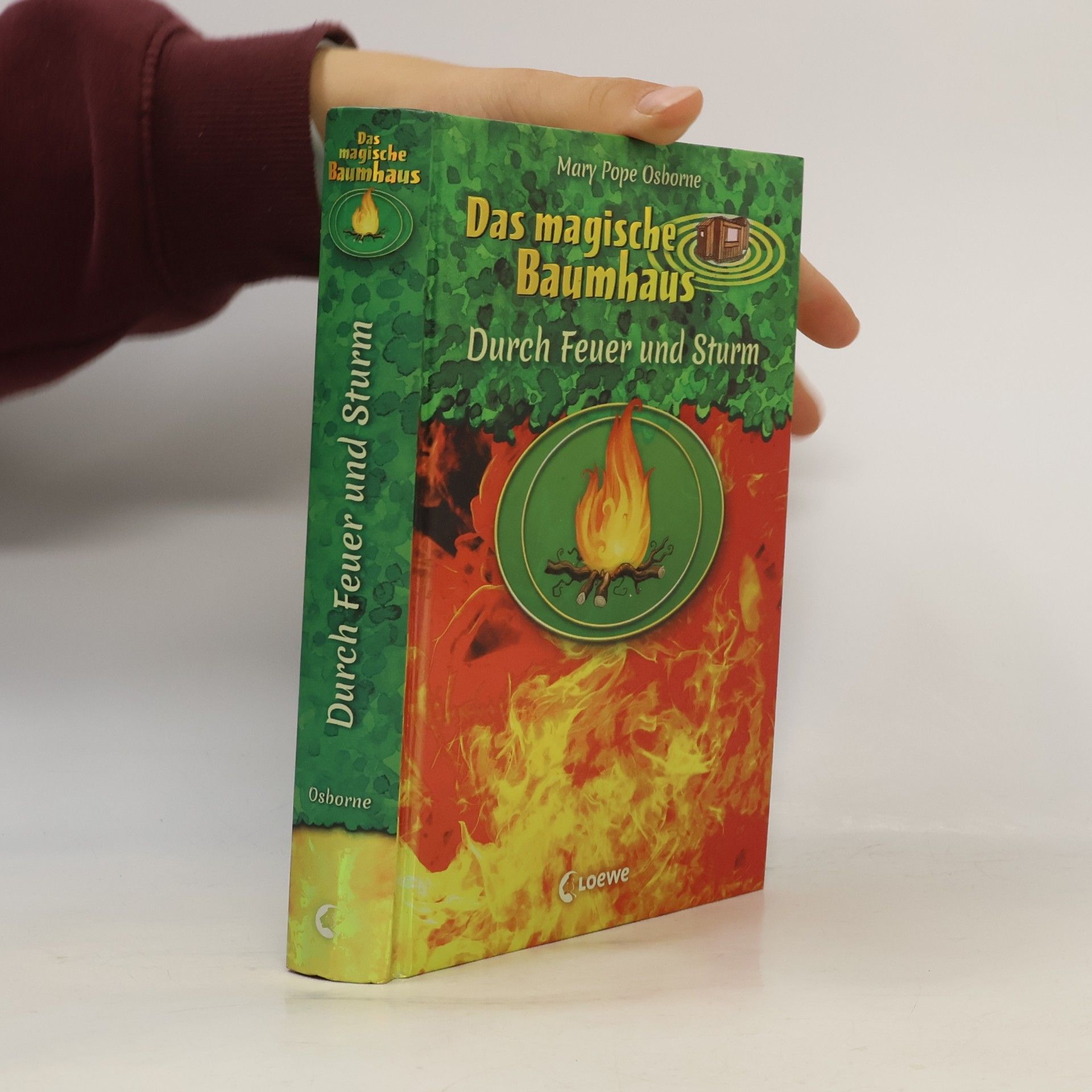 Mary Pope Osborne Das magische Baumhaus - durch Feuer und Sturm