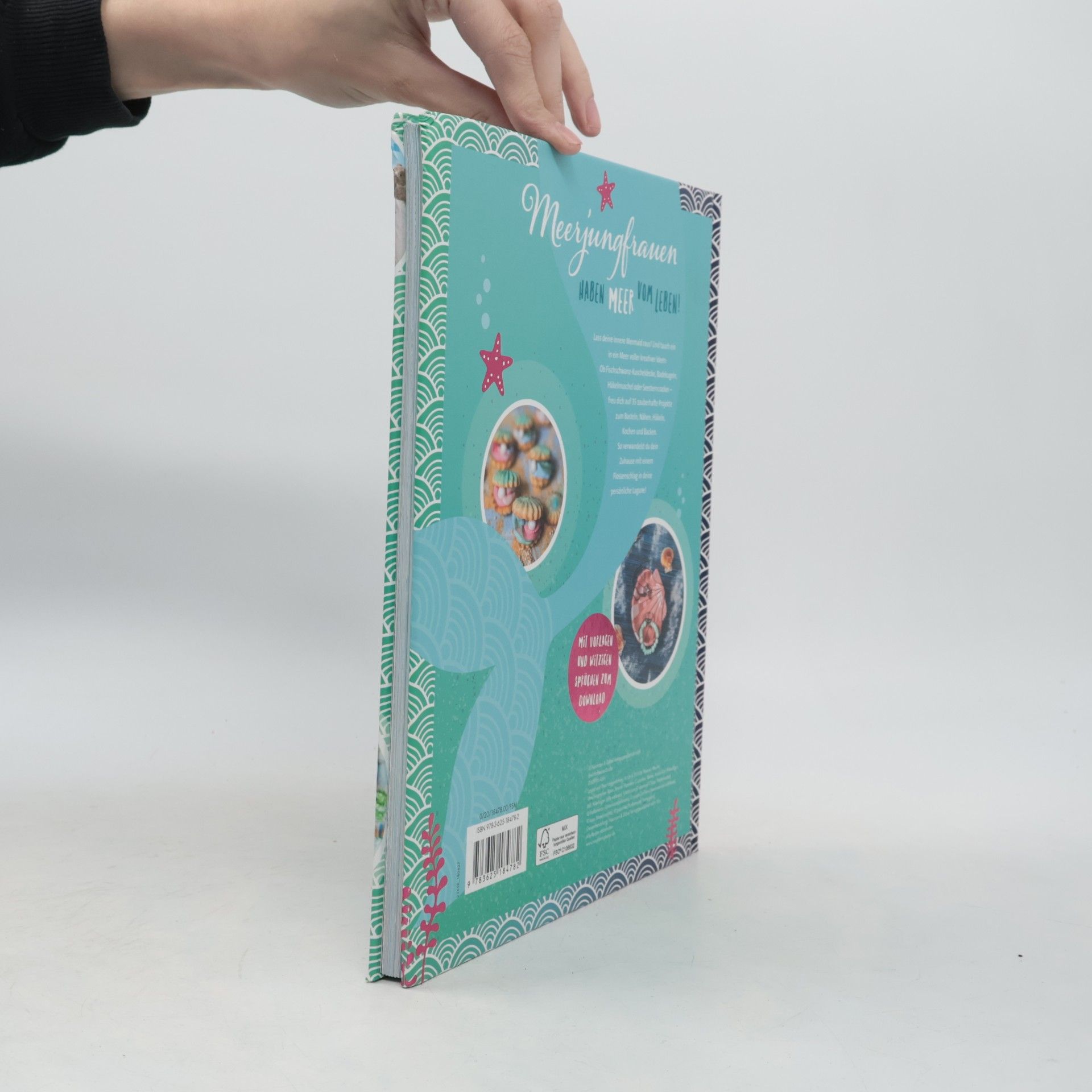 Das große Mermaid-Fanbuch