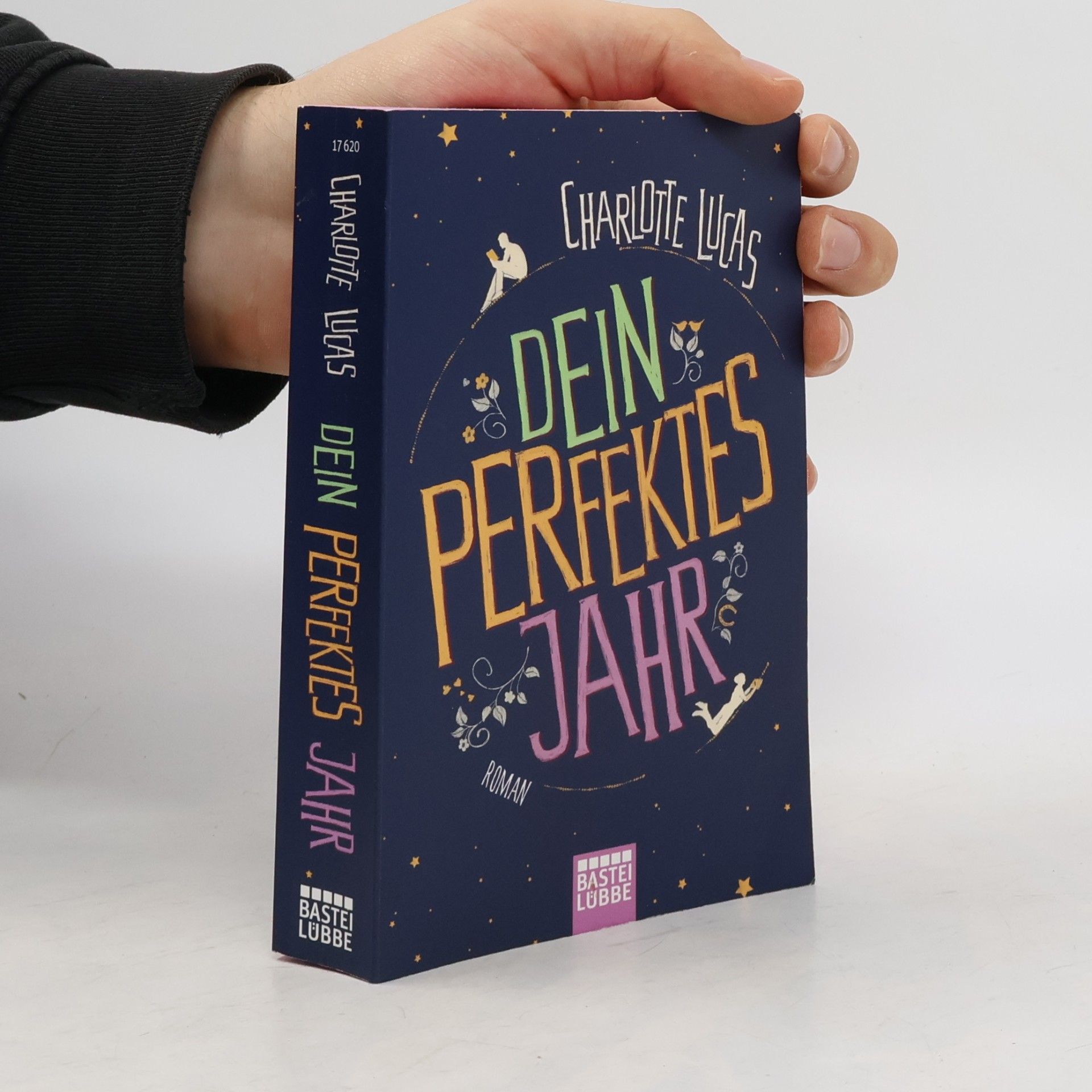 Charlotte Lucas Dein perfektes Jahr
