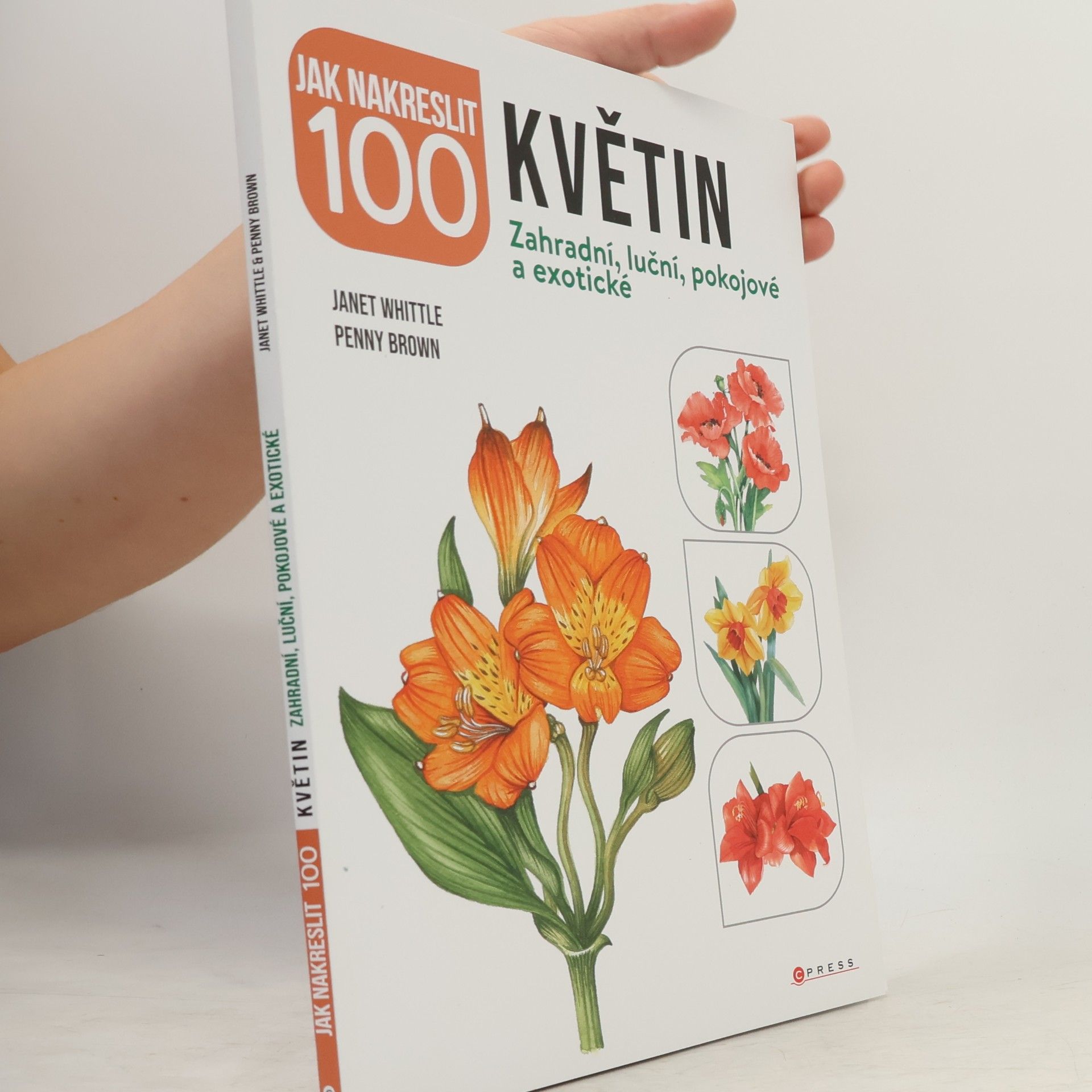 Penny Brown Jak nakreslit 100 květin: zahradní, luční, pokojové a exotické