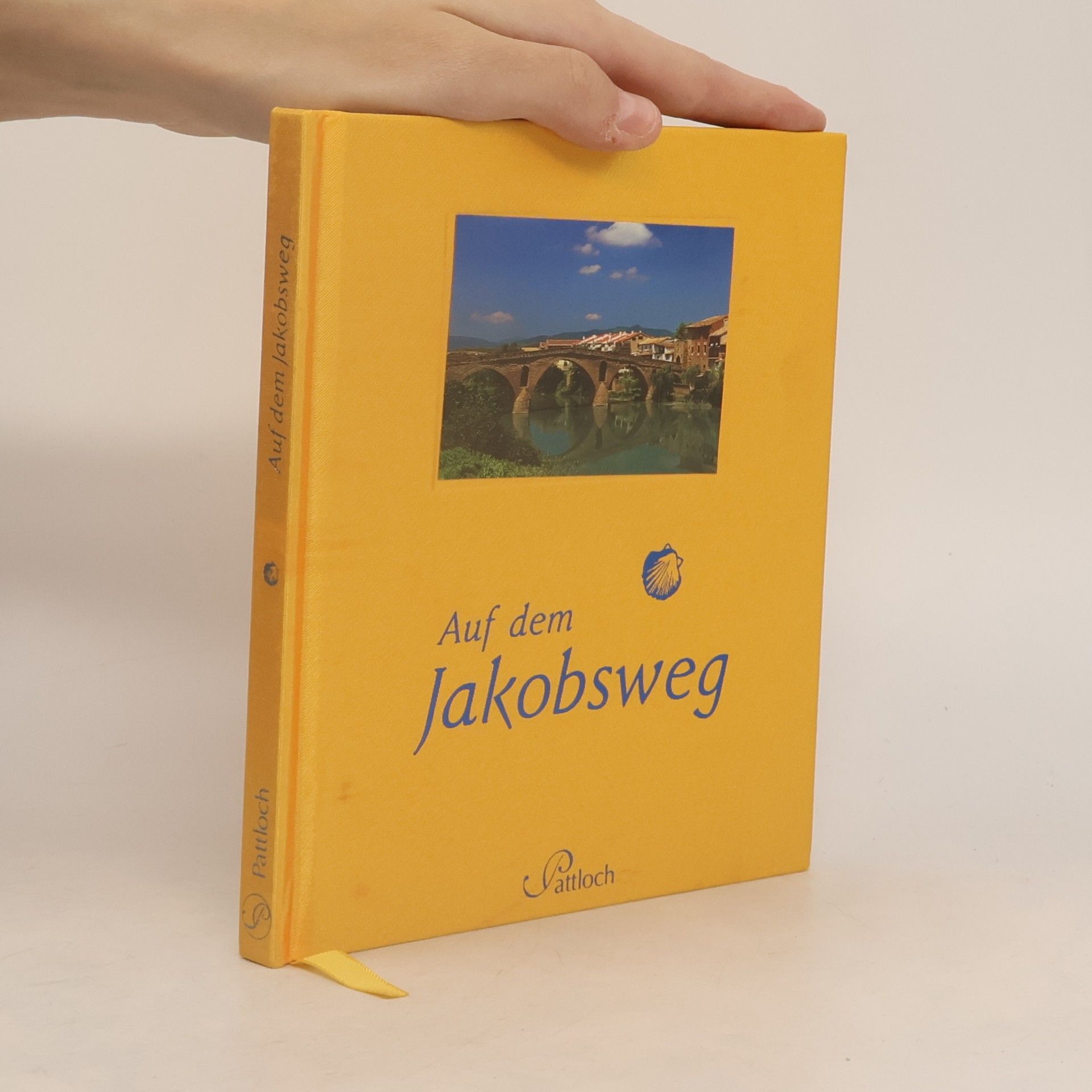 Paulo Coelho Auf dem Jakobsweg