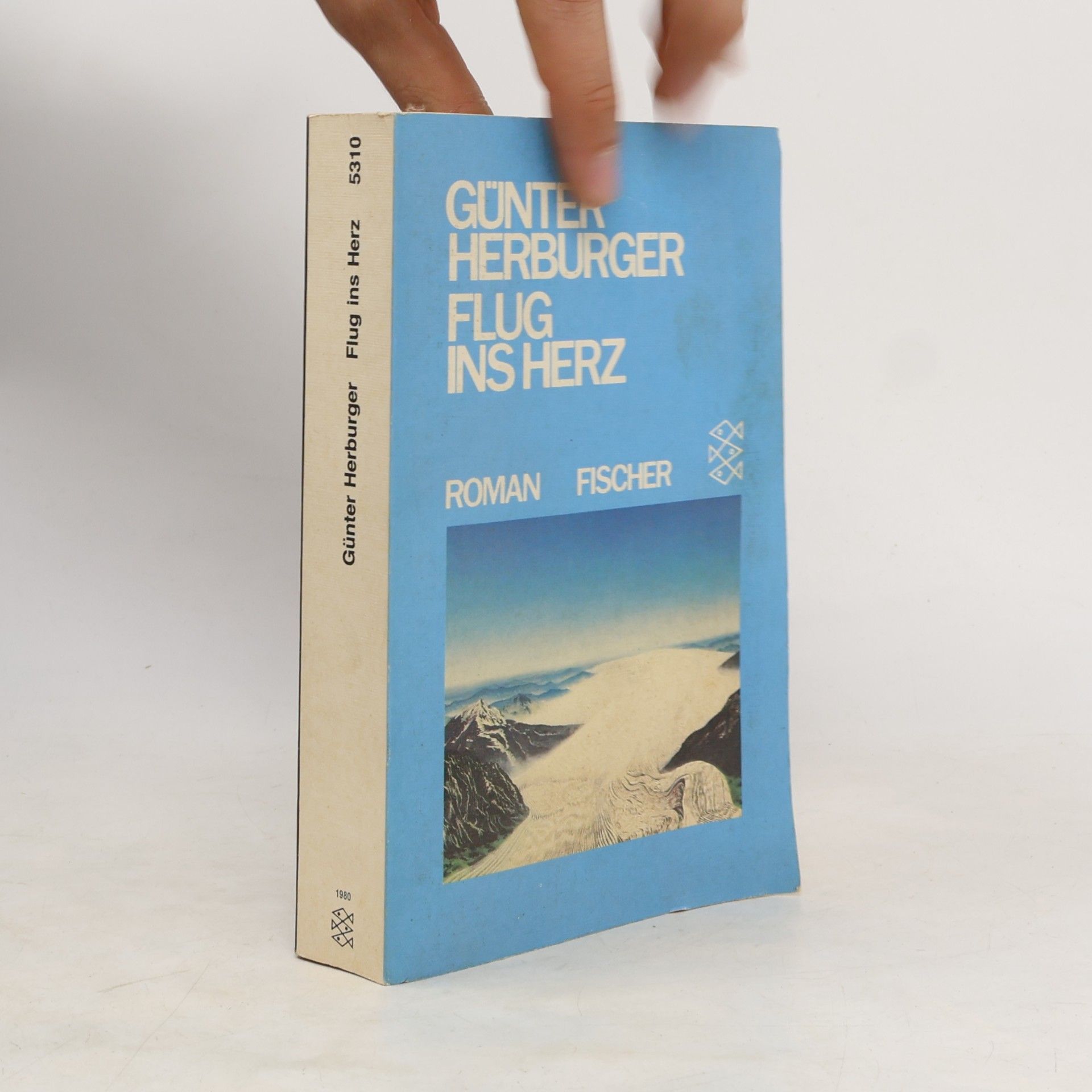 Günter Herburger Flug ins Herz