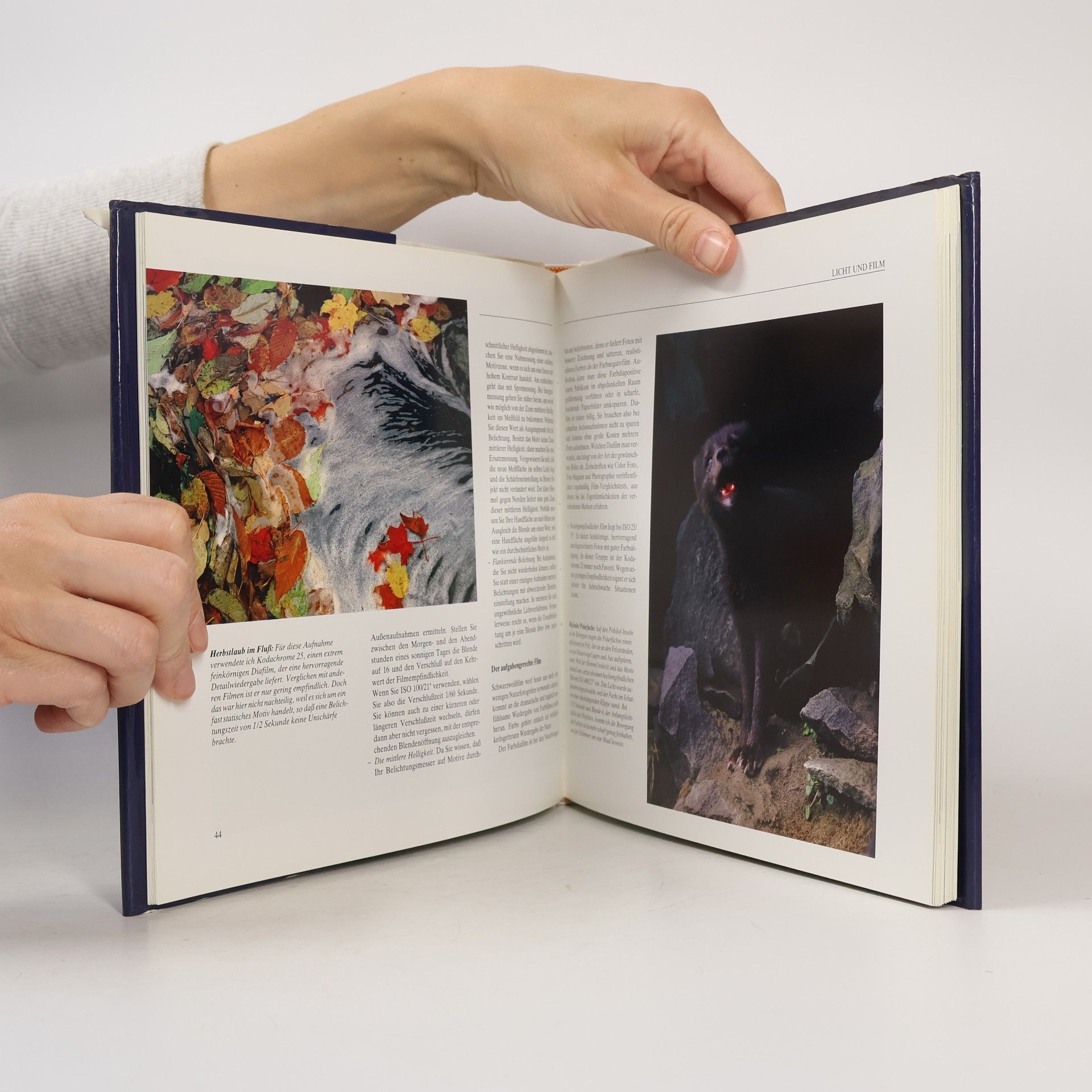 Tim Fitzharris Handbuch der Naturfotografie