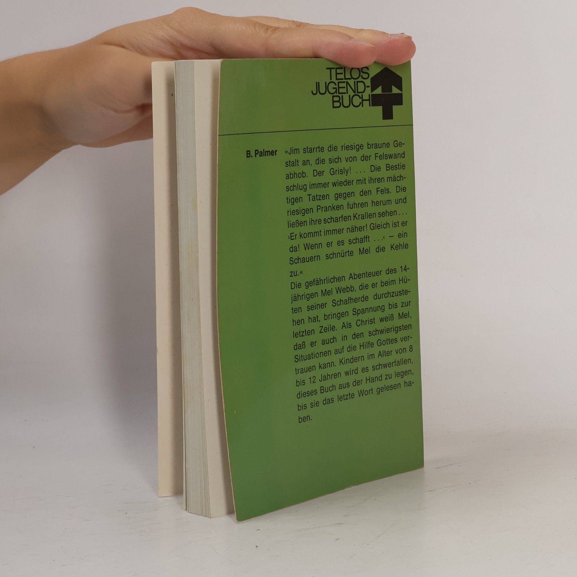 Bernard Palmer Telos Jugend-Buch - 3528: Mel Webb wittert Gefahr