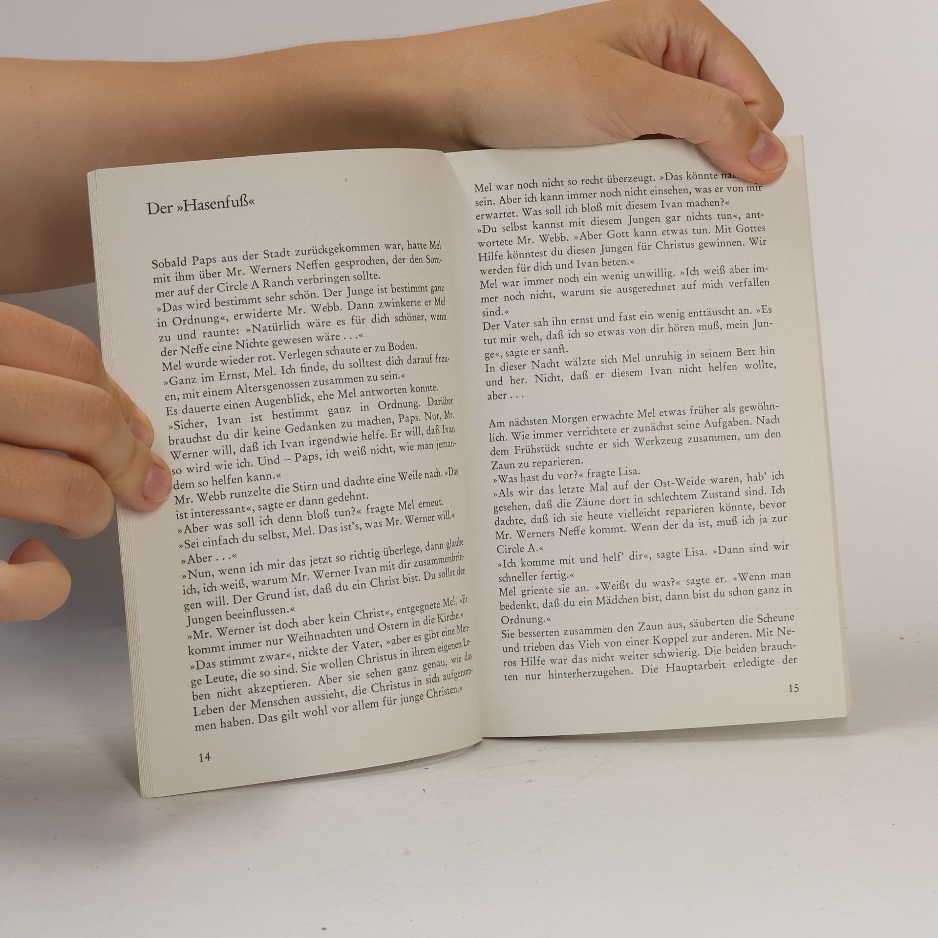 Bernard Palmer Telos Jugend-Buch - 3528: Mel Webb wittert Gefahr