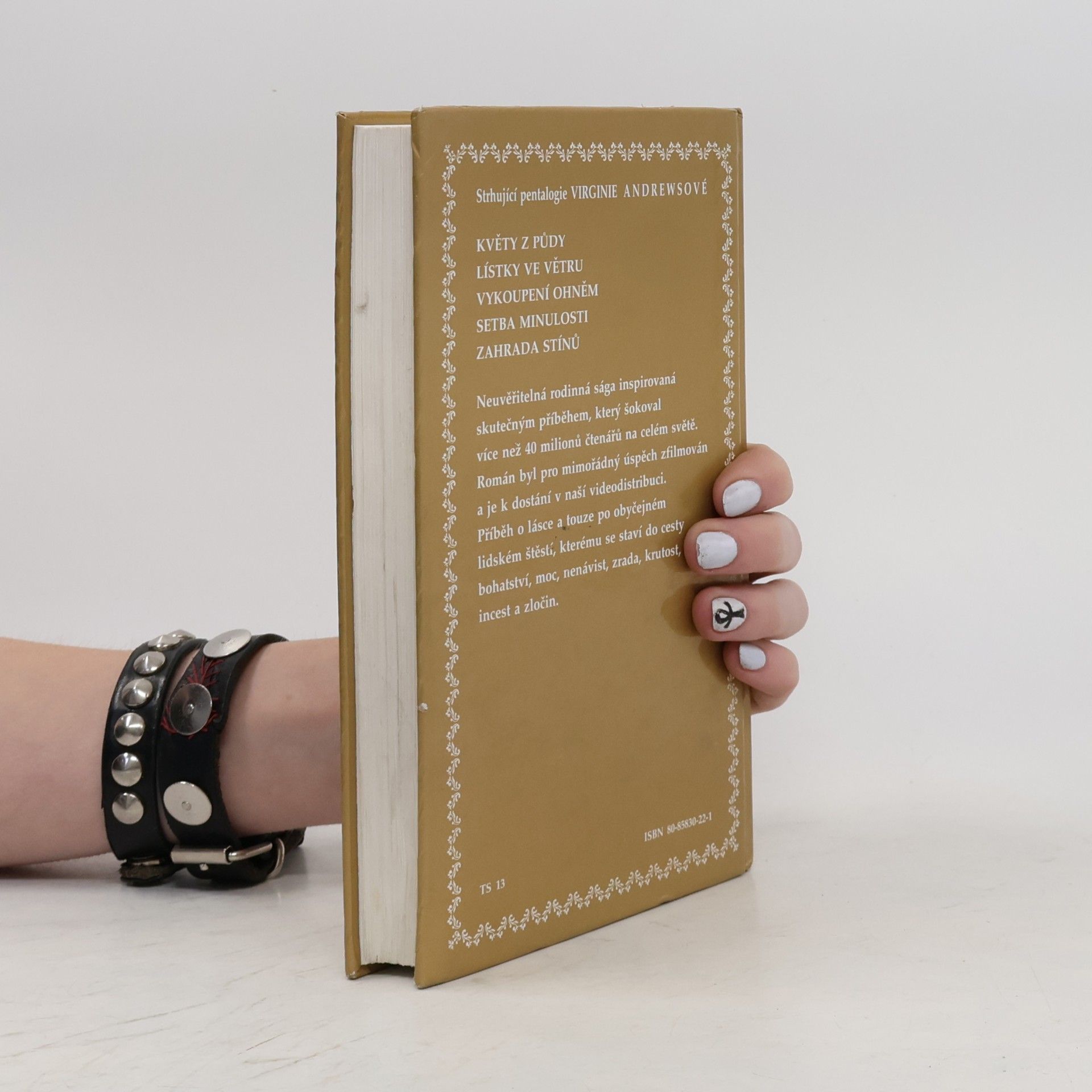 V. C. Andrews Moje zlatá Audrina