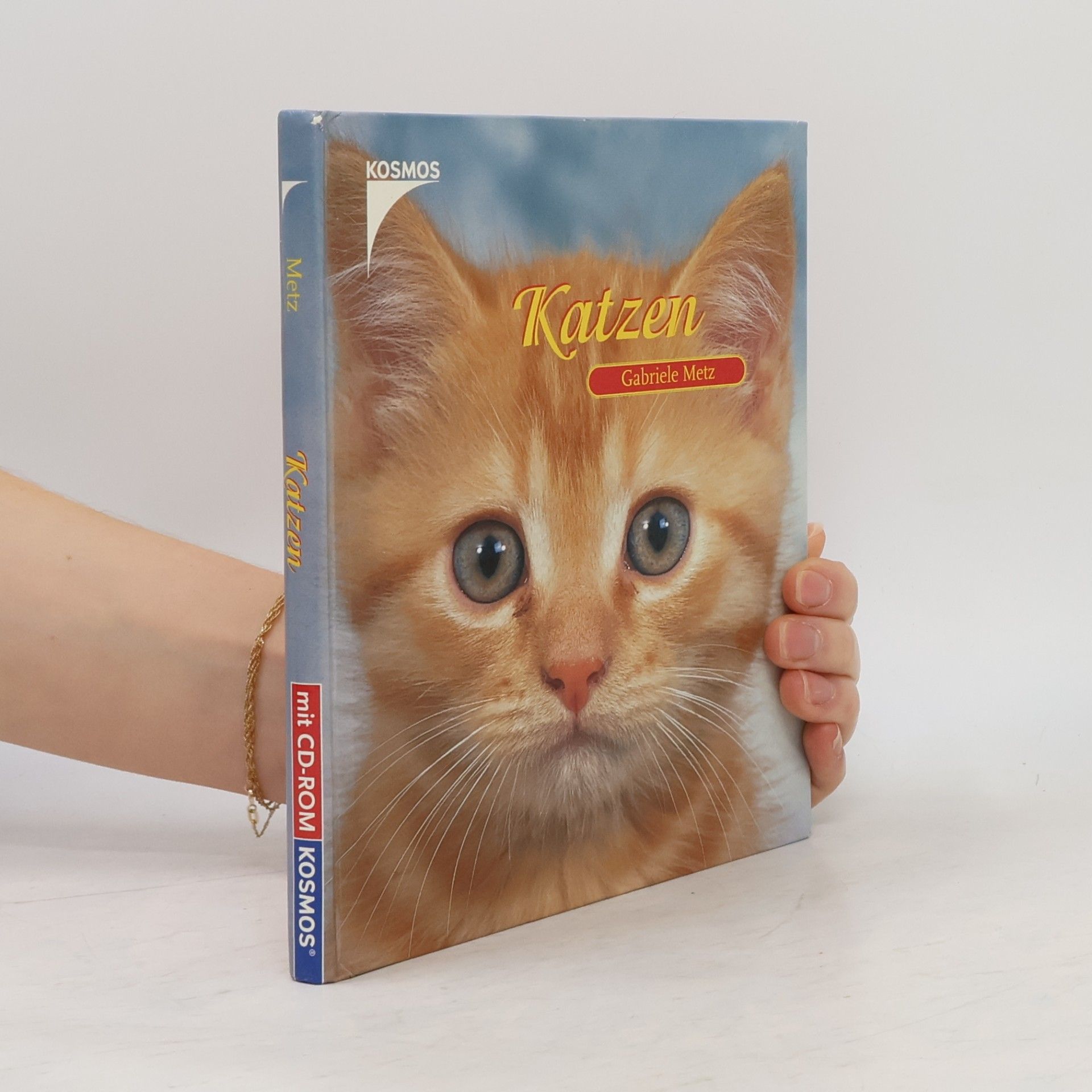 Katzen
